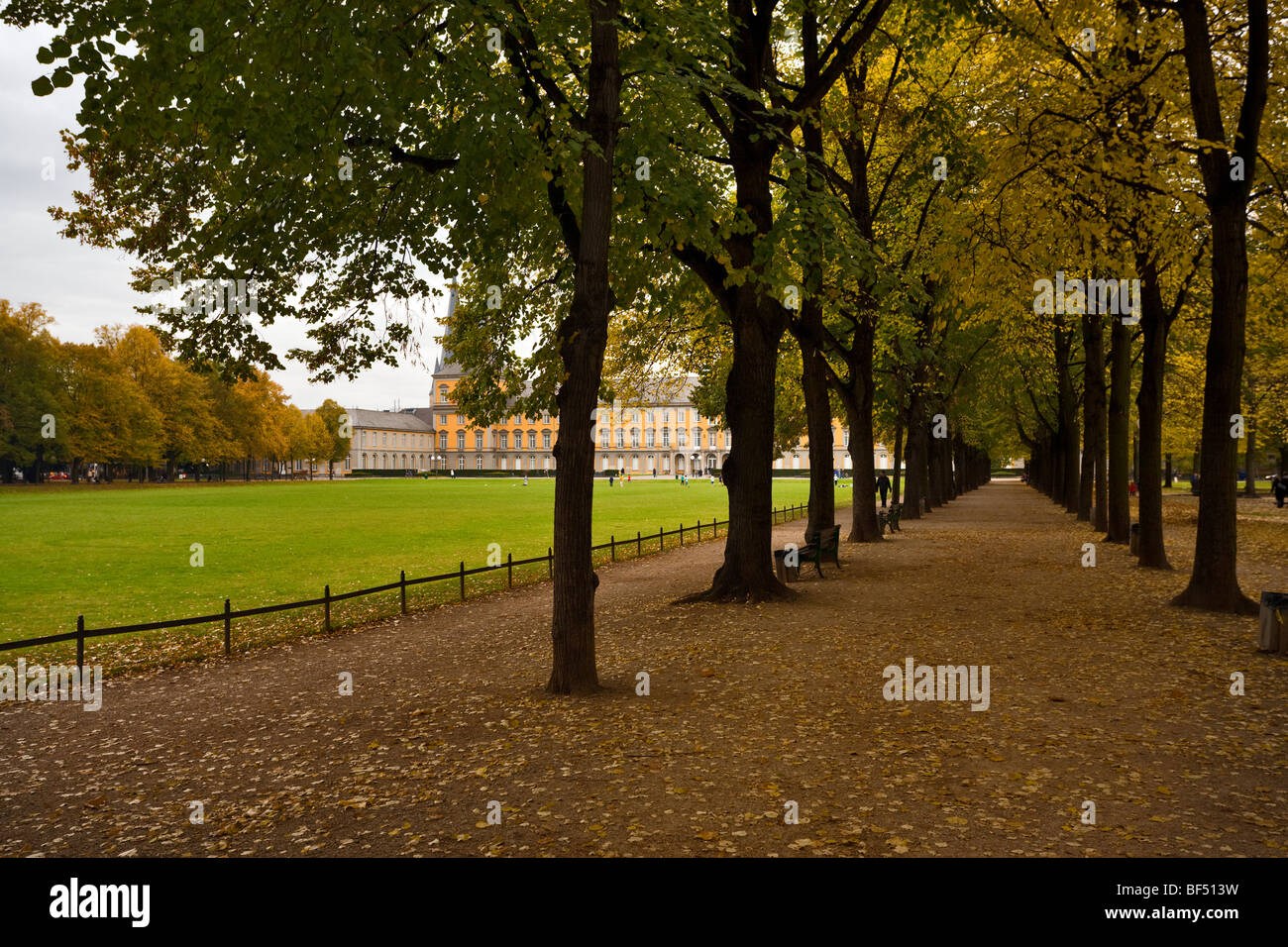 Vista attraverso un faggio masticiato avenue per il Kurfürstliches Schloss elettorale (Castello Principesco) al Hofgarten (Corte Giardino) , Bonn Foto Stock