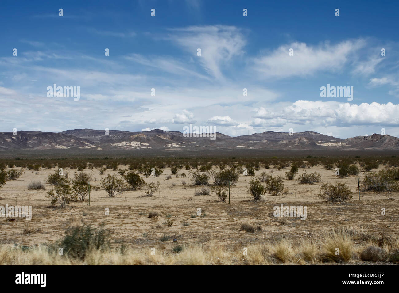 Il paesaggio del deserto con un mezzo di formazione di montagna, Arizona, Stati Uniti Foto Stock