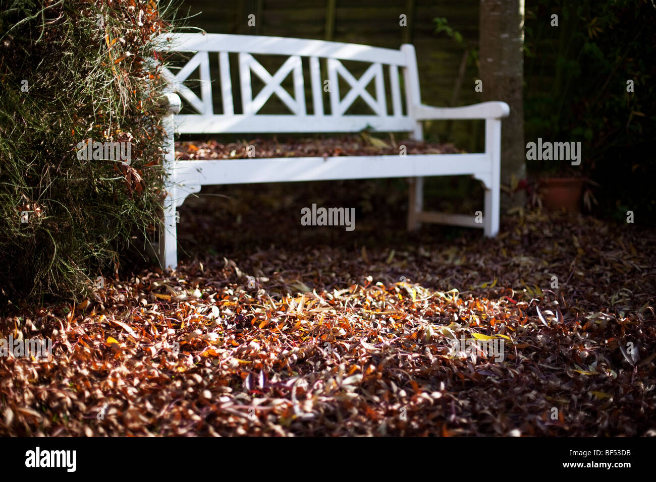 Un banco di legno in un angolo di un giardino suburbano in autunno a Redditch, Worcestershire, Regno Unito Foto Stock