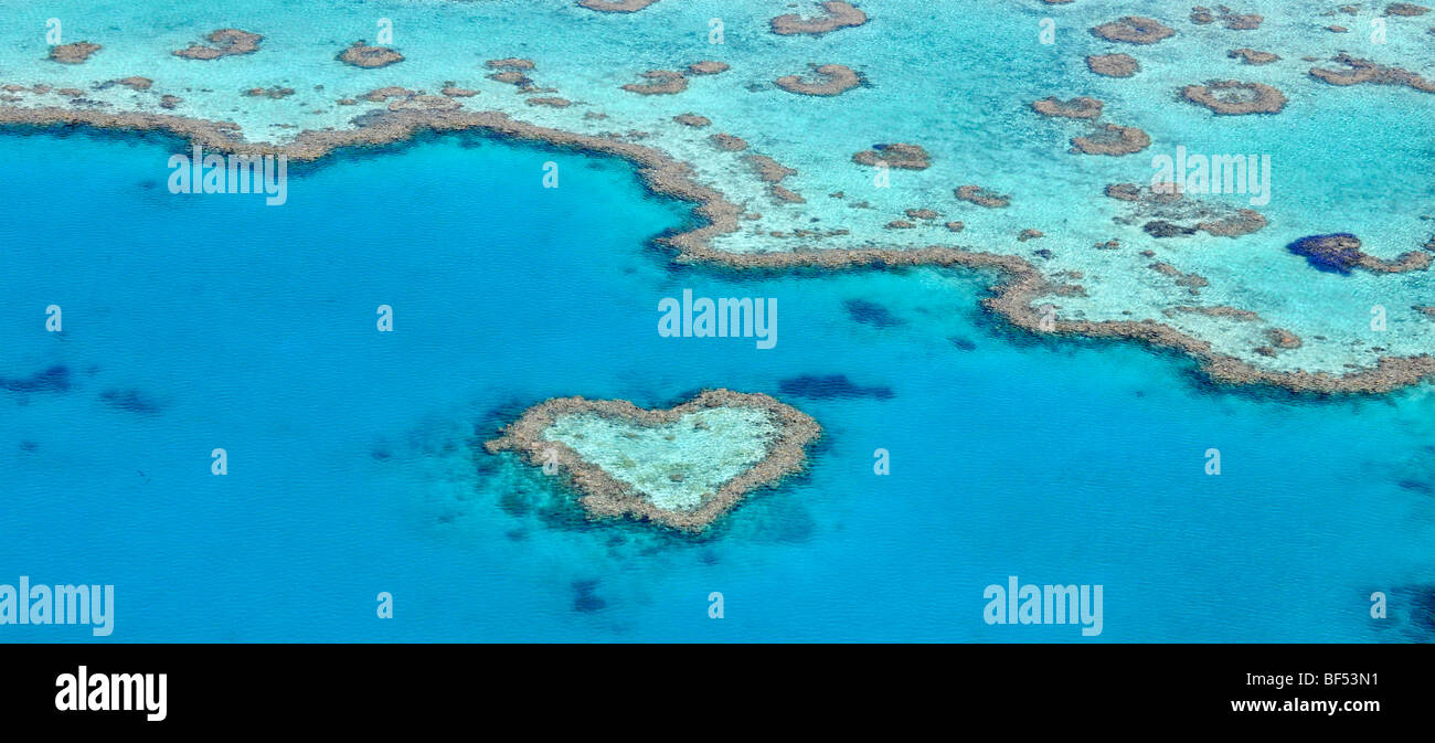 Panorama, vista aerea dell'oceano pavimento, cuore Reef, a forma di cuore, reef della Grande Barriera Corallina Area del Patrimonio Mondiale, grande barriera Foto Stock