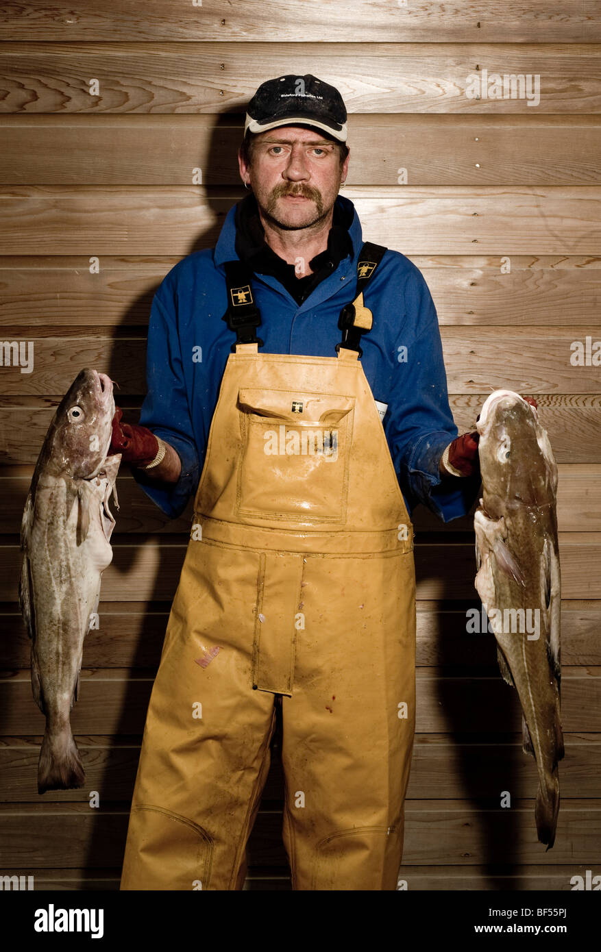 Un lavoratore di pesce in olio giallo pelli trattiene grandi cod al di fuori di una pesca co operativa, Devon Foto Stock