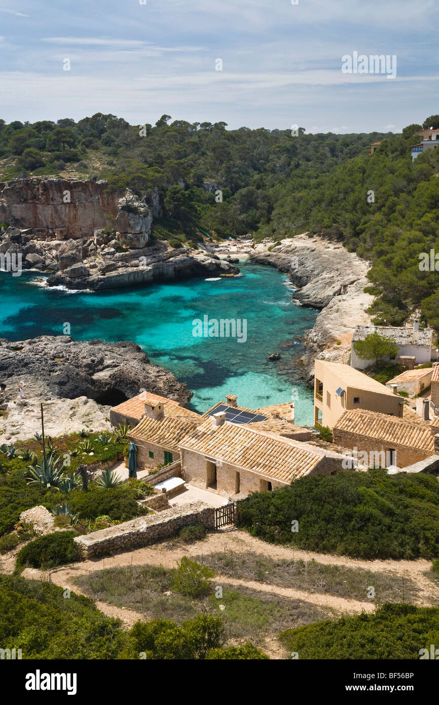 Cala s'Almonia, Mallorca, Maiorca, isole Baleari, Mare mediterraneo, Spagna, Europa Foto Stock