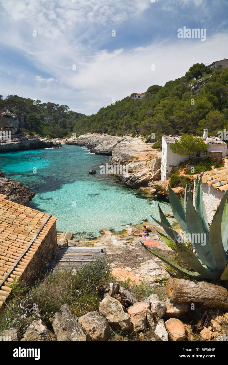 Cala s'Almonia, Mallorca, Maiorca, isole Baleari, Mare mediterraneo, Spagna, Europa Foto Stock