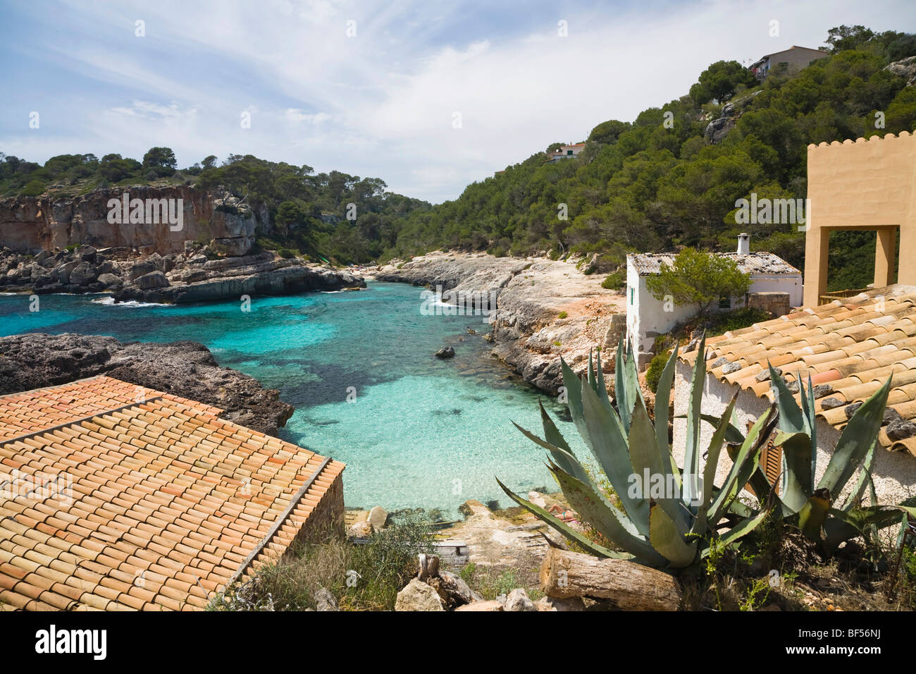 Cala s'Almonia, Mallorca, Maiorca, isole Baleari, Mare mediterraneo, Spagna, Europa Foto Stock