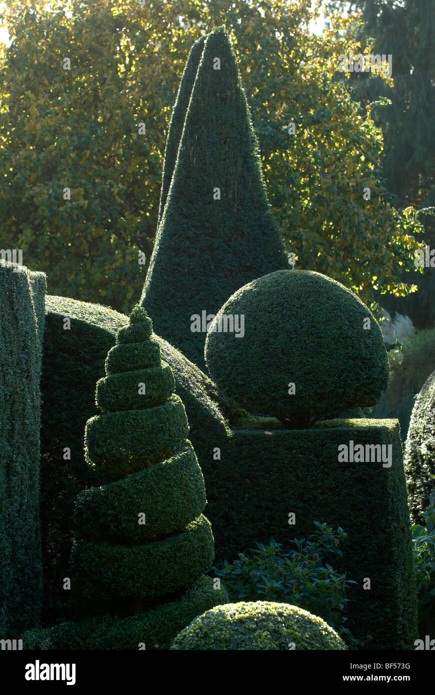 Scatola agganciata a topiaria da Adel giardino vicino a Leeds Foto Stock