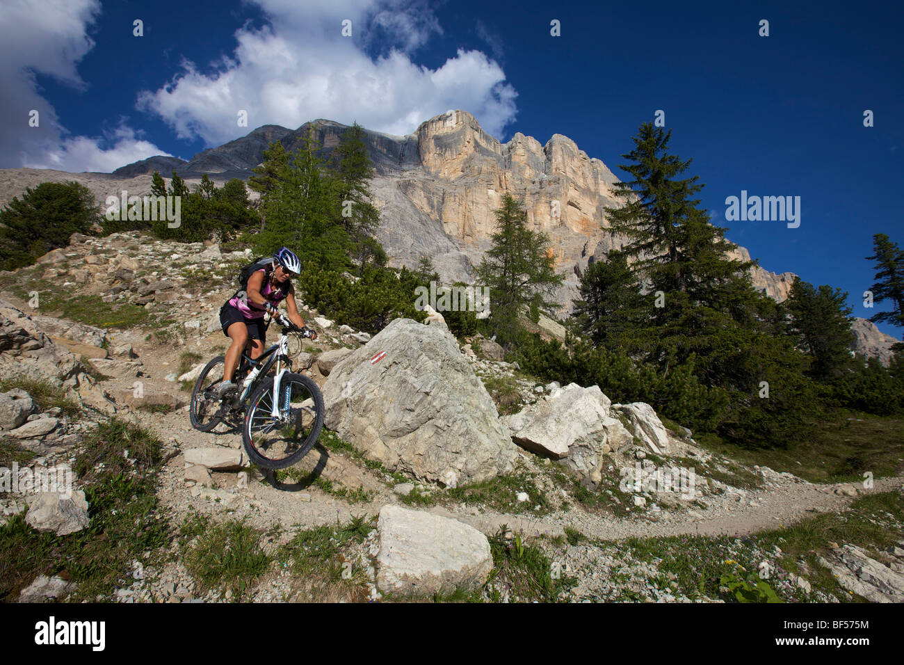 Motociclista in mountain bike su un percorso singolo presso il monte Kreuzkofel, Parco Naturale Fanes-Sennes-Prags, Trentino, Alto Adige, Italia, Europa Foto Stock