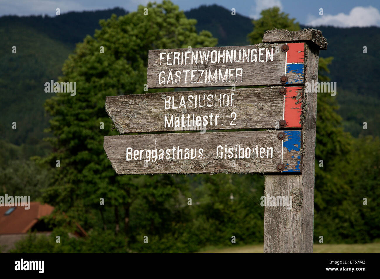 Stagionato in signpost Geschwend nella Foresta Nera, Baden-Wuerttemberg, Germania, Europa Foto Stock