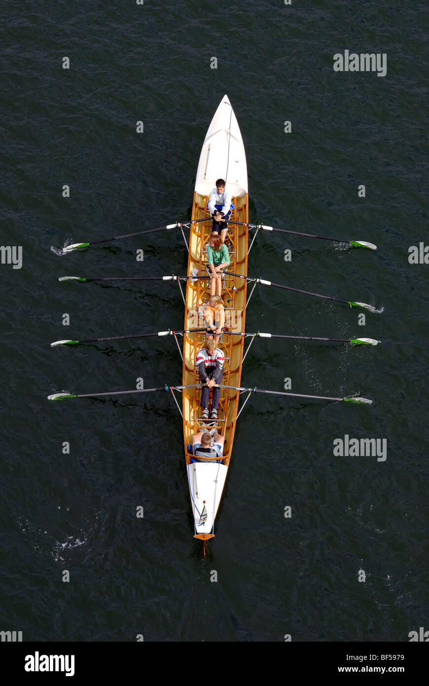 Sport acquatici, doppio coxed fours, giovani canottieri in azione Foto Stock