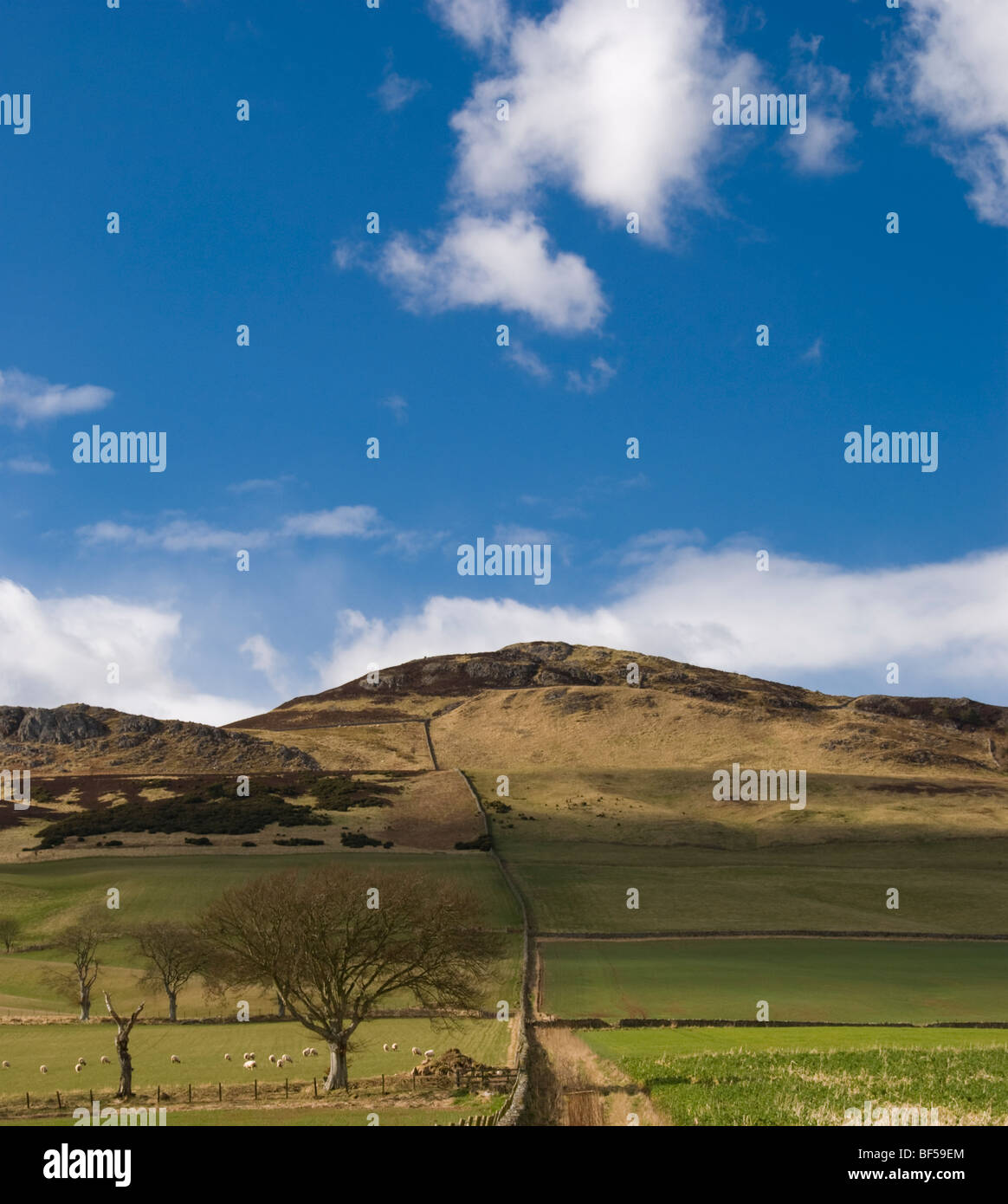 Rubers legge Foto Stock