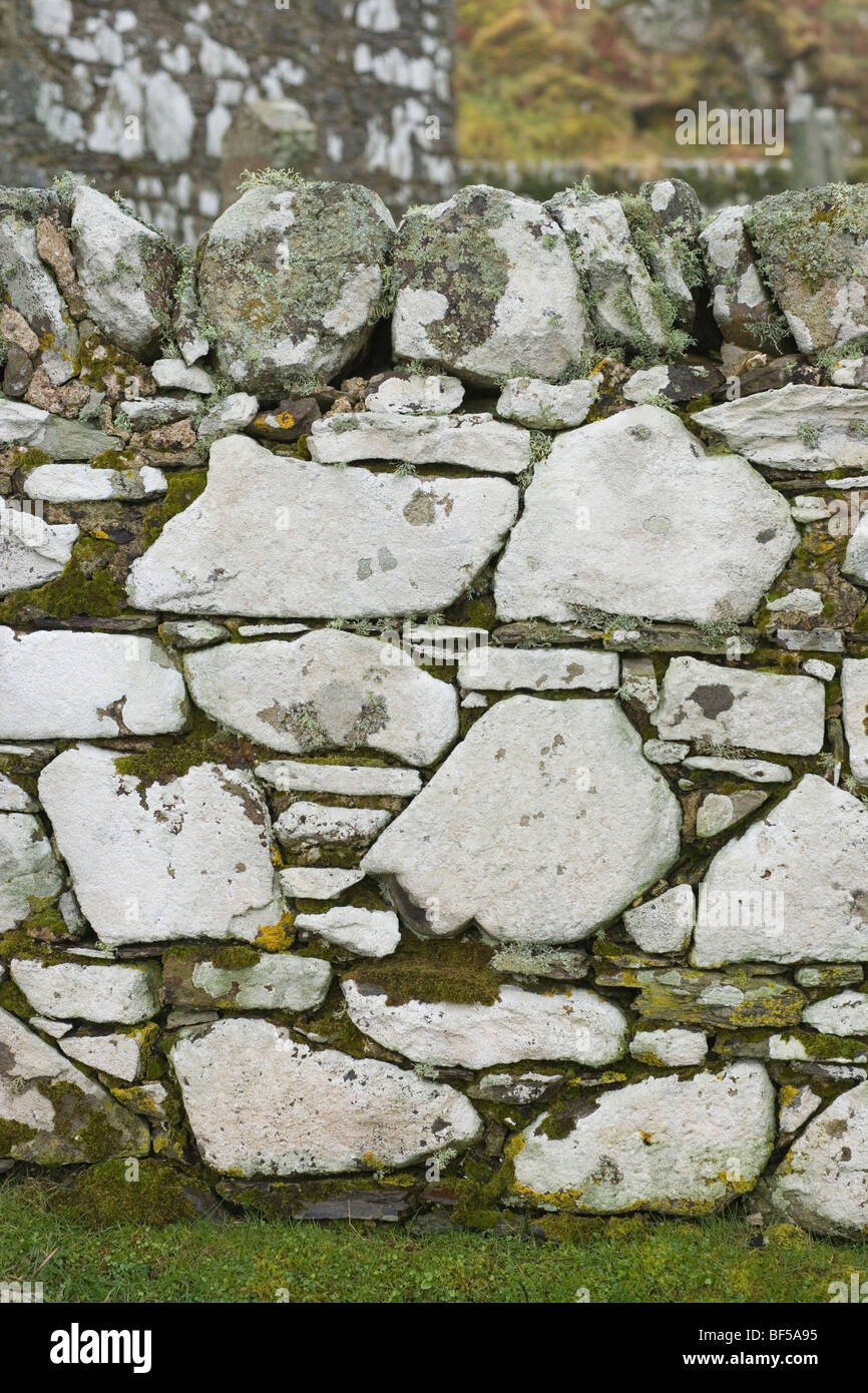 Il Lichen coperti muro di pietra. Islay, nella costa occidentale della Scozia. Foto Stock