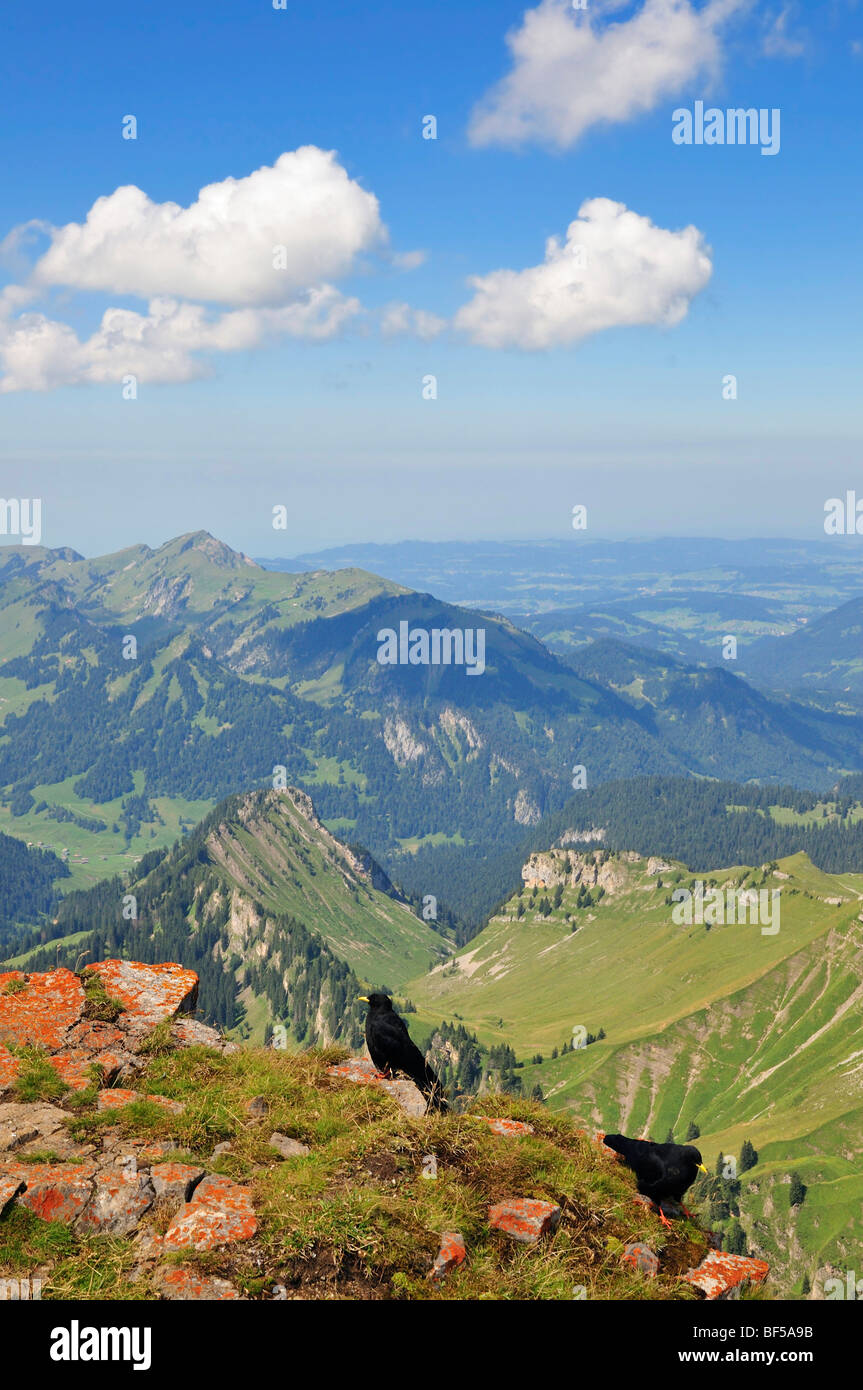 Vista dal Hoher Ifen Mountain, Vorarlberg, Allgaeu Alpi, Austria, Europa Foto Stock