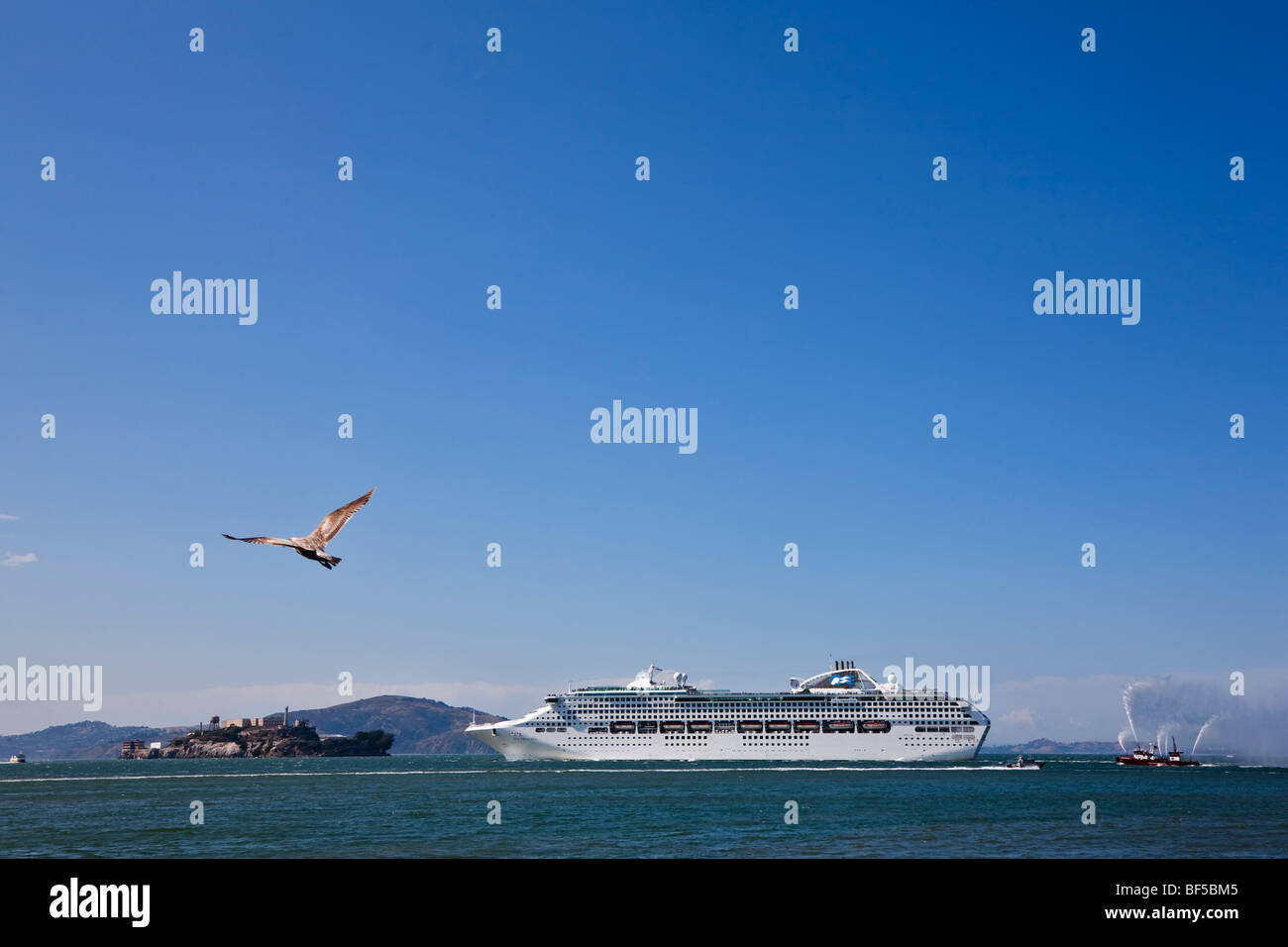 La nave di crociera off Alcatraz, ex isola prigione, San Francisco, California, USA, America Foto Stock