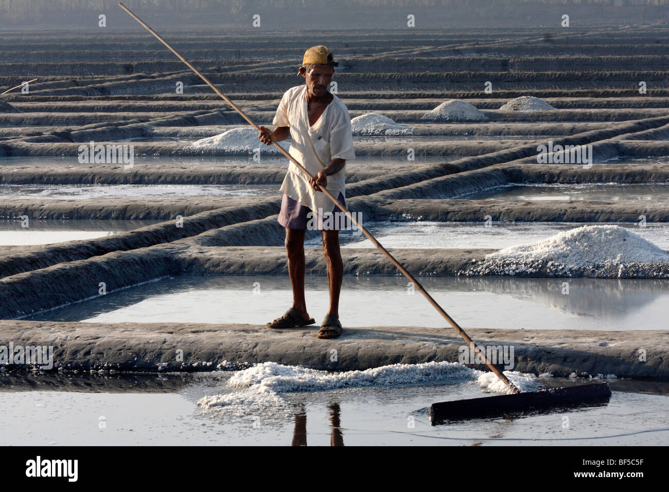 Estrazione del sale, Vengurla, Maharastra, India, Asia del Sud Foto Stock