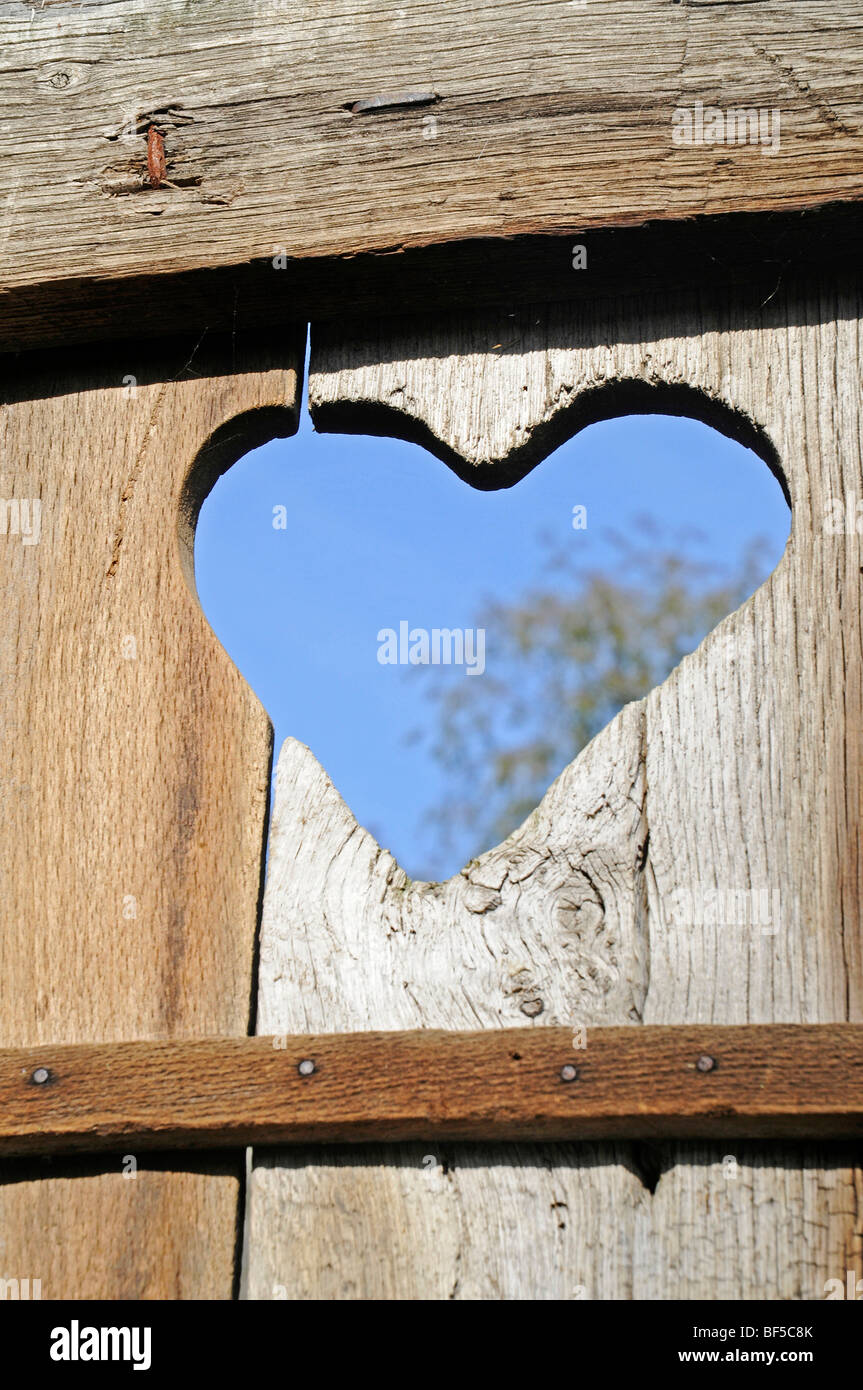 Cuore, porta di legno, latrina, wc, toilette esterna, open-air museum, Stato westfaliano Museo di Etnologia, Detmold e Nord Rh Foto Stock