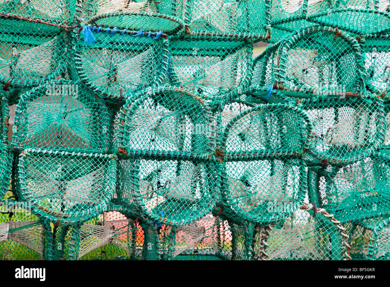 Aragosta o granchio di bicchieri impilati Foto Stock