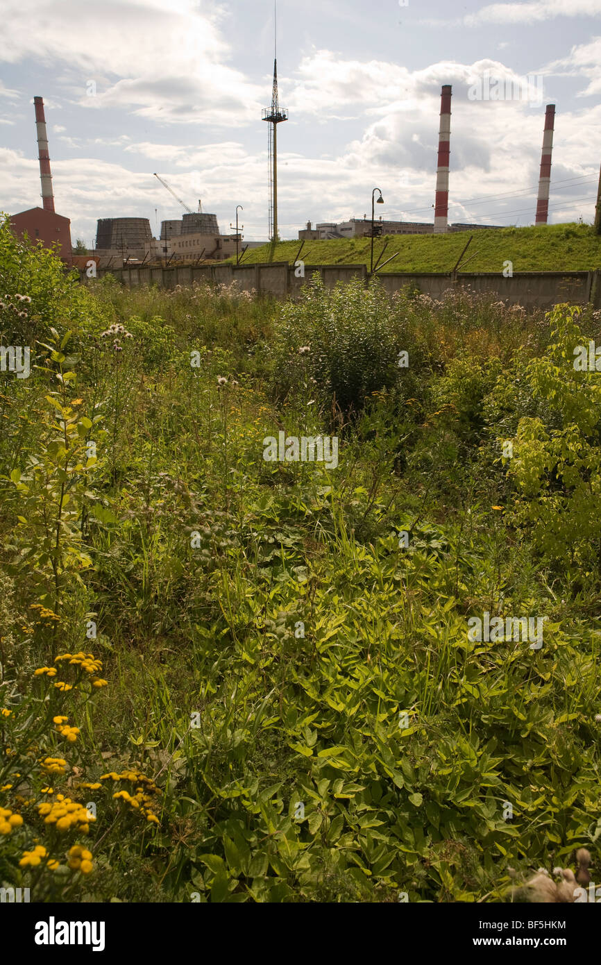 Area giardino Kirov russia Foto Stock