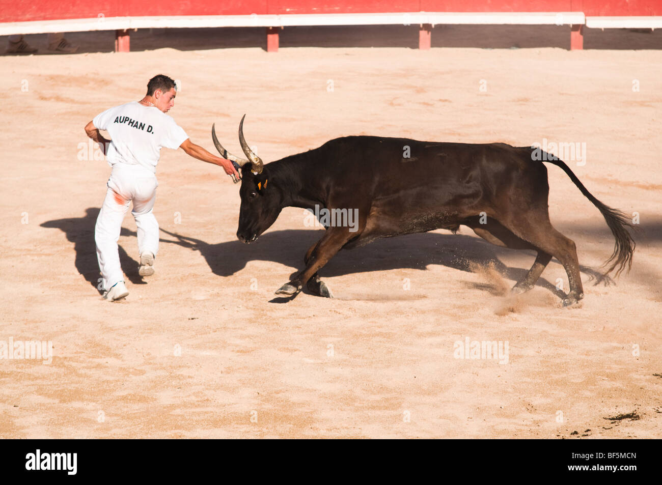 Innocuo corrida Foto Stock