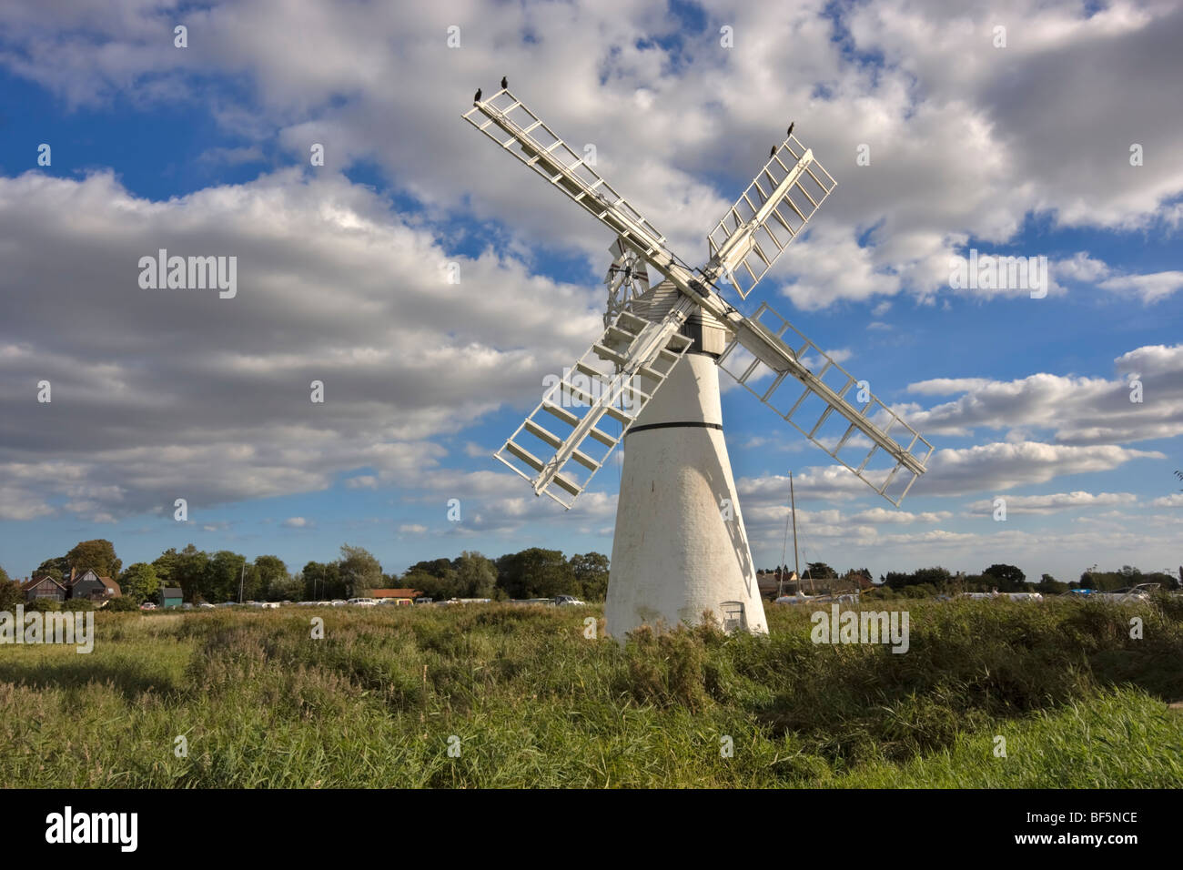 Thurne Dyke Windpump, Norfolk Broads Foto Stock