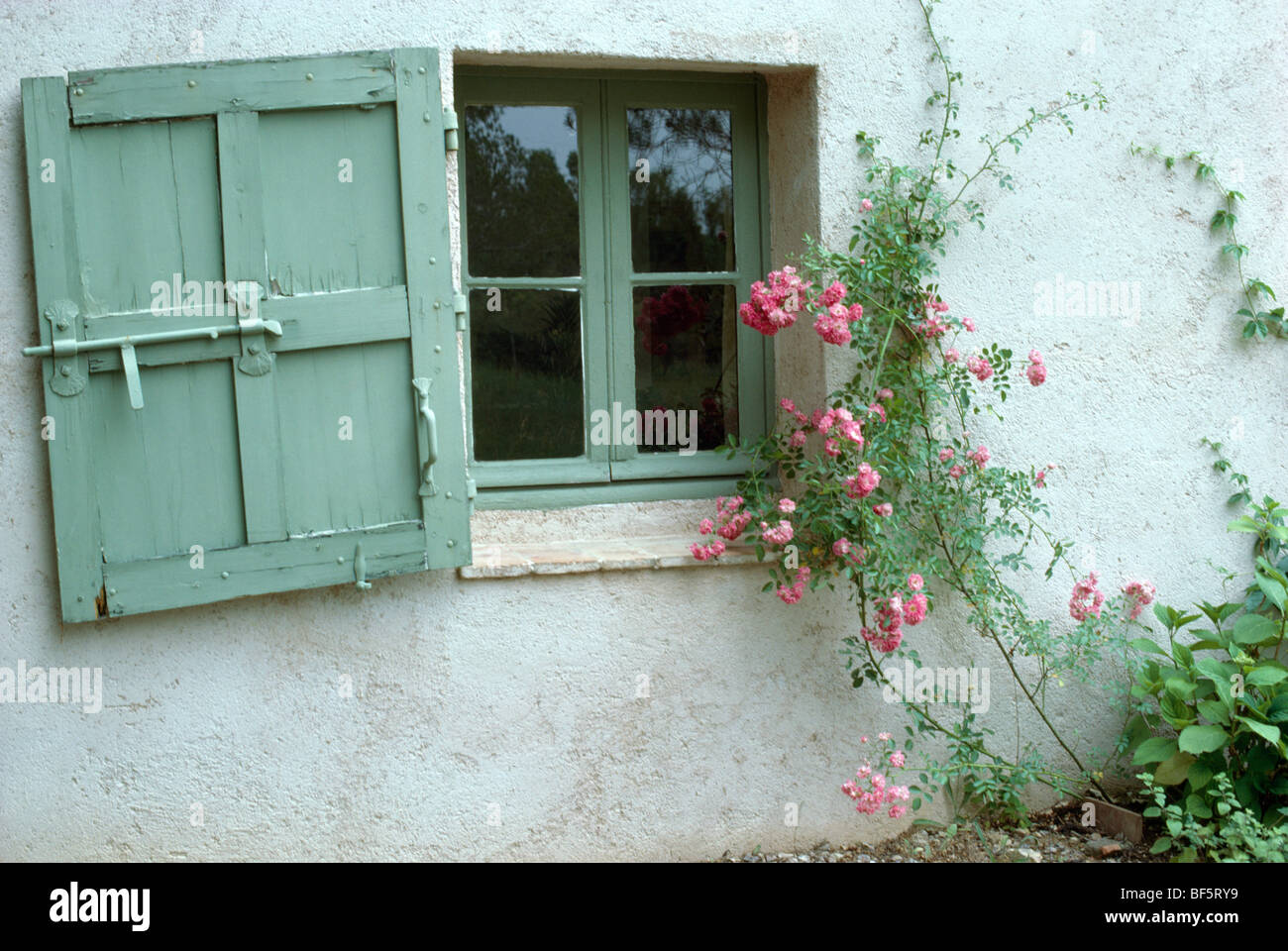 Close-up di verde pallido in legno dipinto e otturatore verde piccola finestra dipinte di bianco cottage con le rose rosa sulla parete Foto Stock