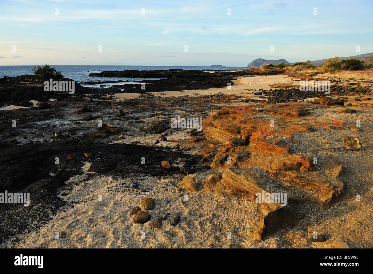 Puerto Egas Bay, isola di Santiago, Isole Galapagos, Ecuador, Sud America Foto Stock
