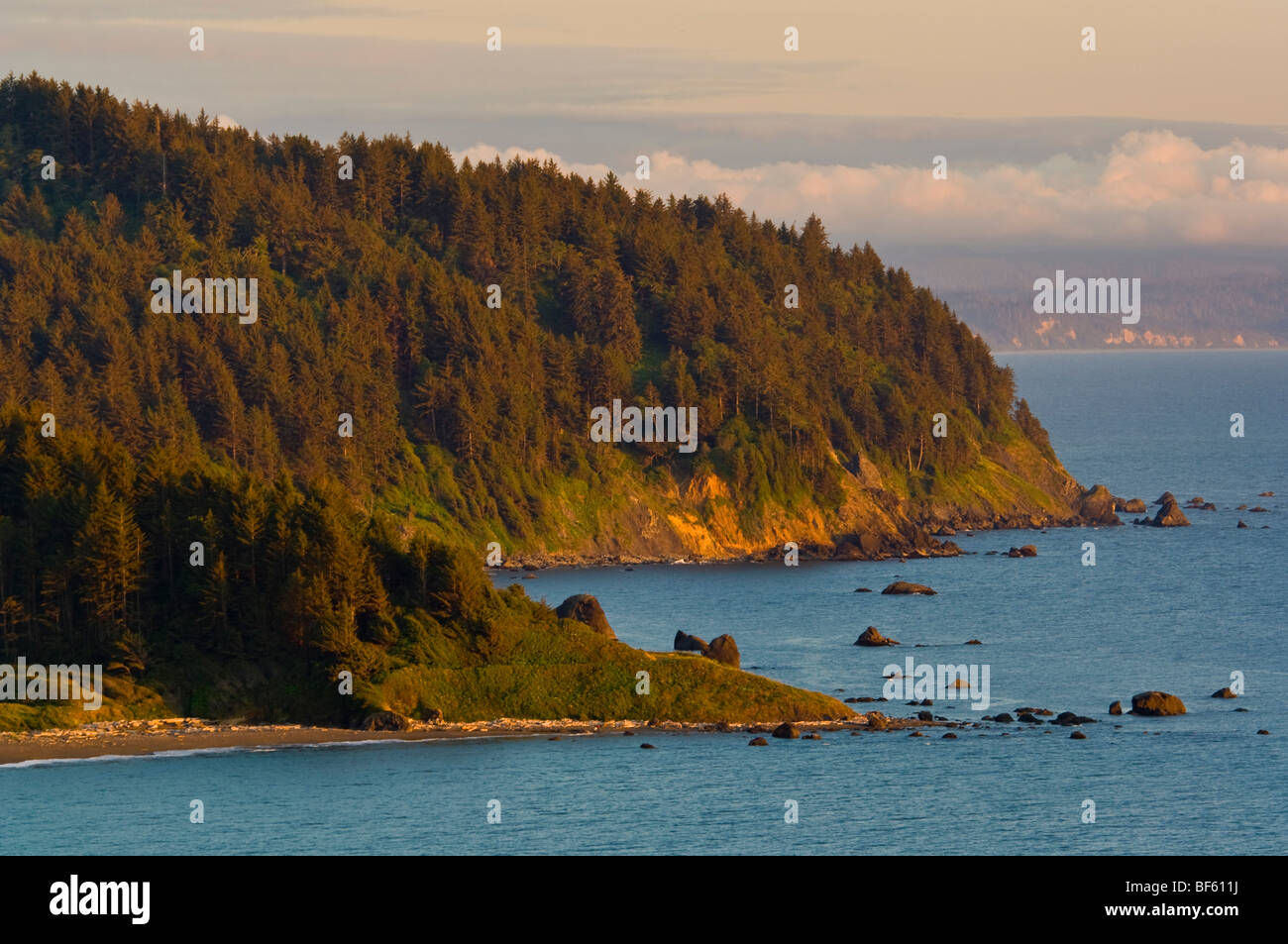 Thr aspre colline costiere oltre l'Oceano Pacifico a false Klamath Cove, Parco Nazionale di Redwood in California Foto Stock