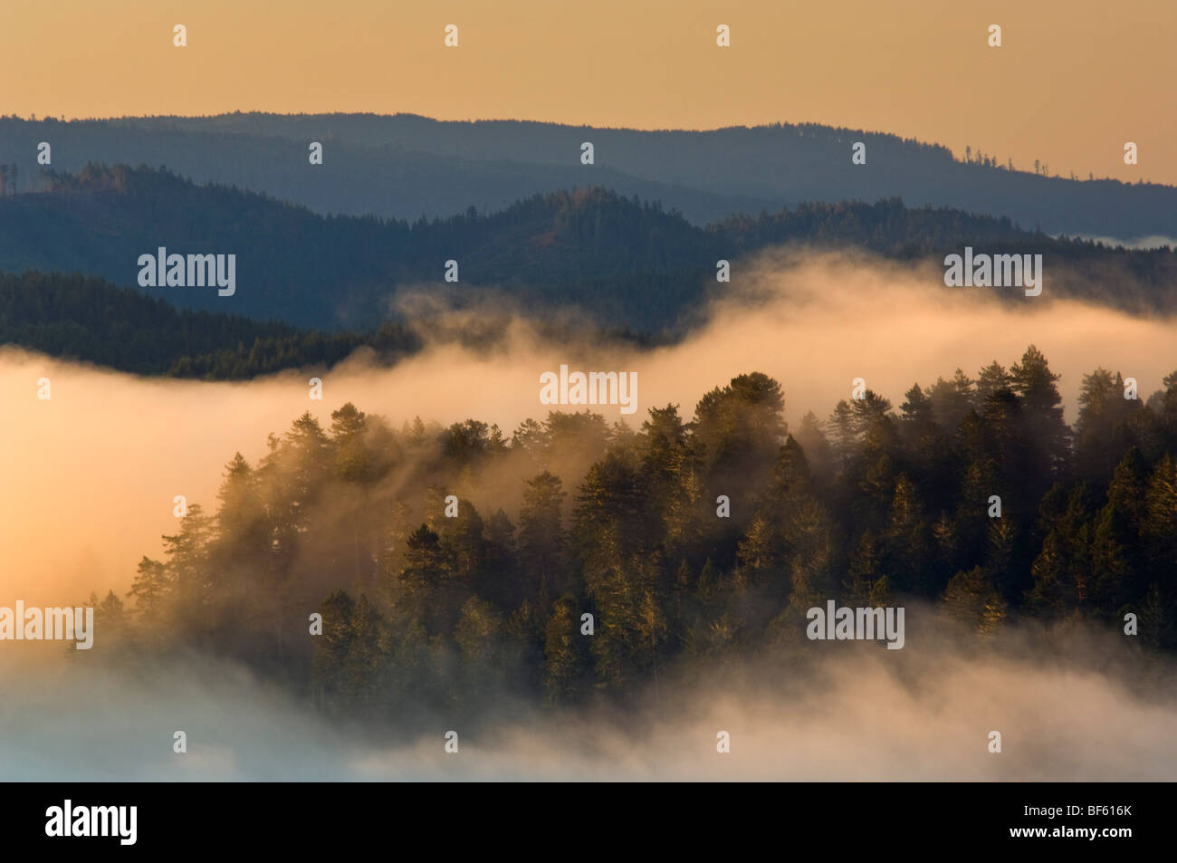 Sunrise luce su nebbia costiera sulle colline vicino alla bocca del fiume Klamath, Parco Nazionale di Redwood in California Foto Stock