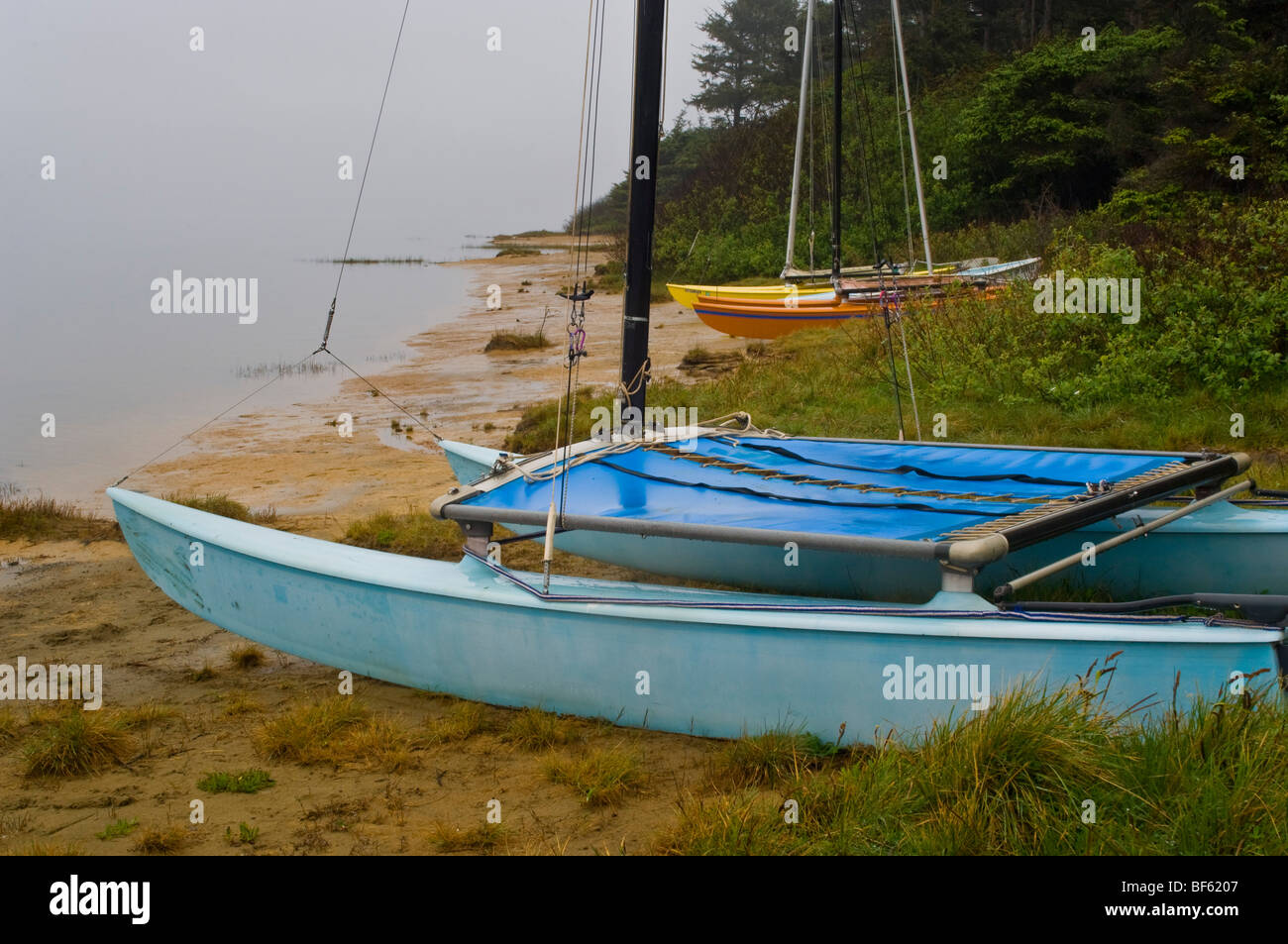 Barche a vela catamarano sulla spiaggia presso la grande laguna, lagune di Humboldt State Park, California Foto Stock