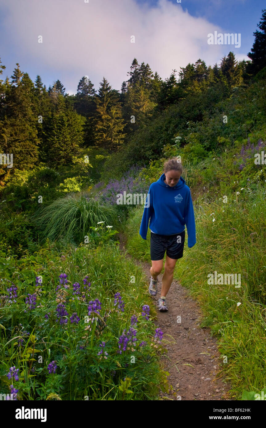 Giovane donna femmina escursionista sul sentiero attraverso la foresta e le piante a Trinidad State Beach, Humboldt County, California Foto Stock