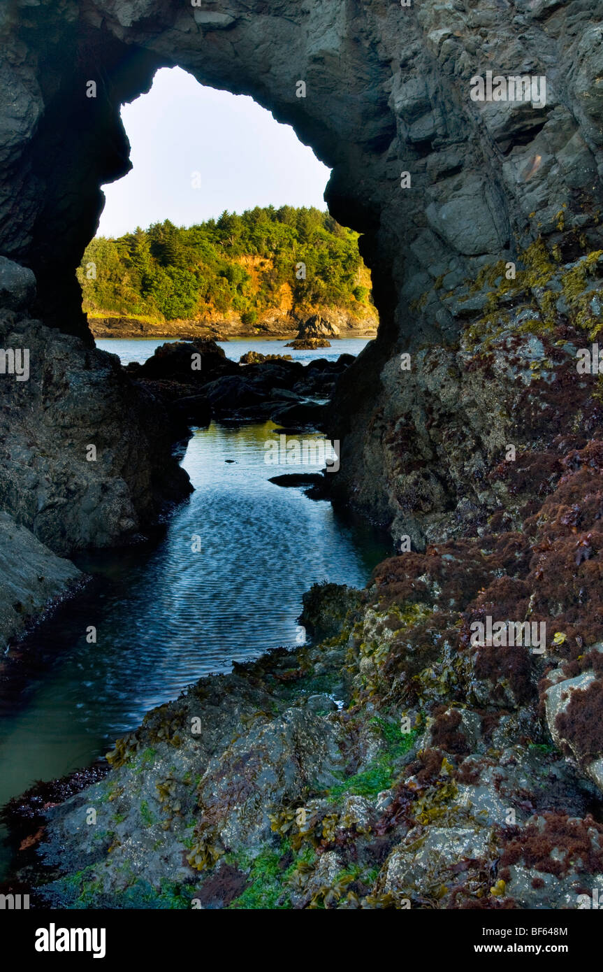 Roccia arcuata con la bassa marea, Trinidad State Beach, Humboldt County, California Foto Stock