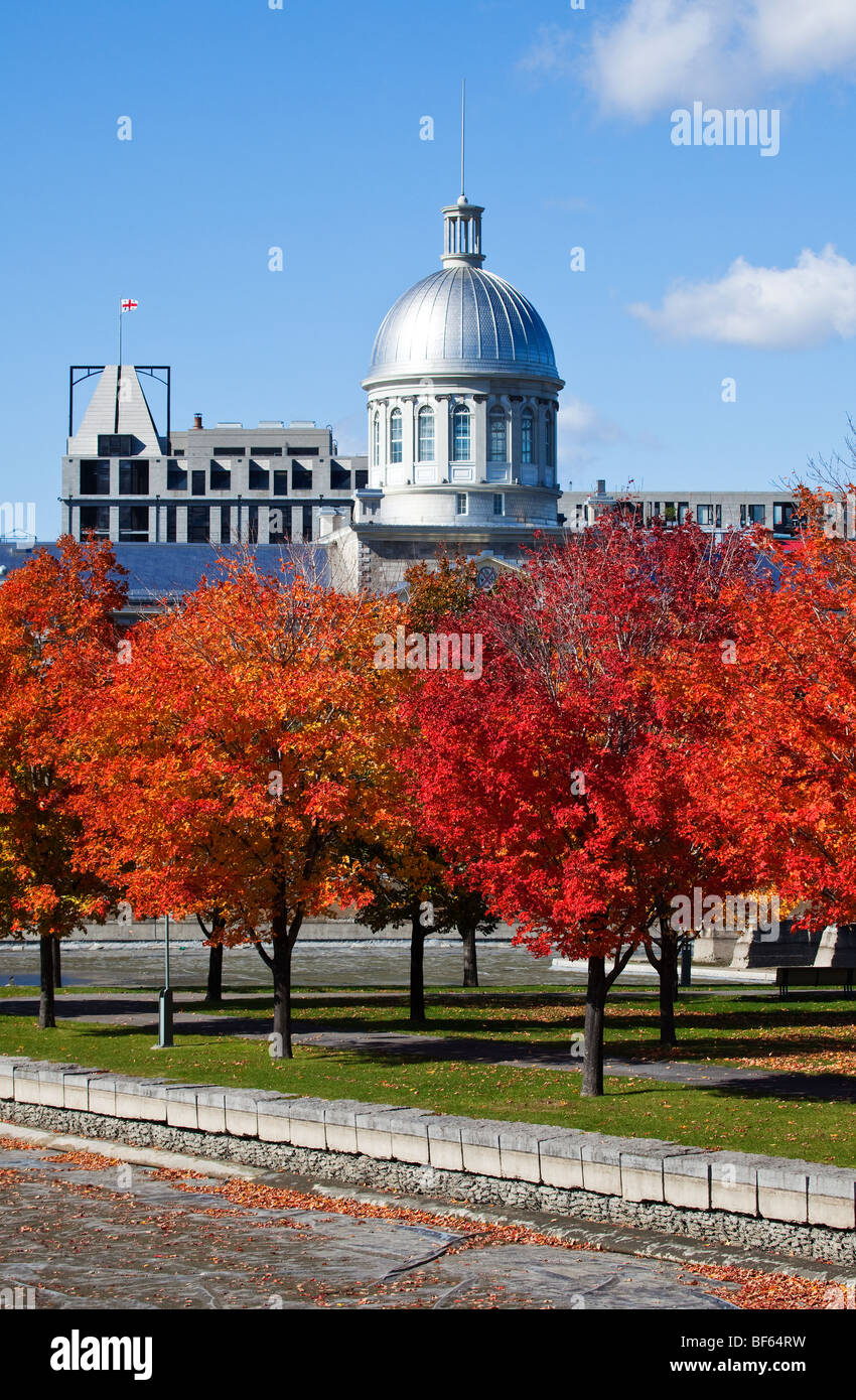 Caduta di Bonsecours Bassin Park a Montreal, Canada Foto Stock