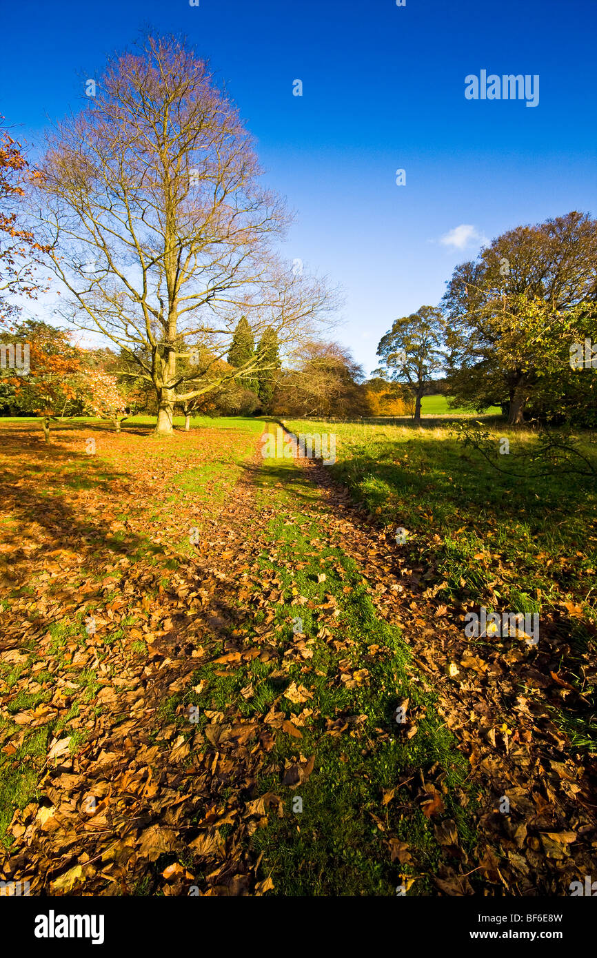 Autunno in East Lothian Foto Stock