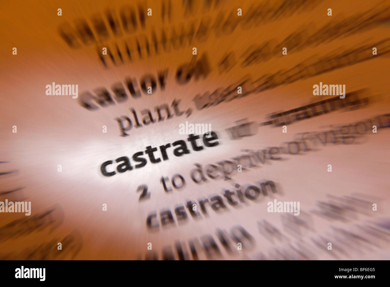 Concetto - Castri Foto Stock