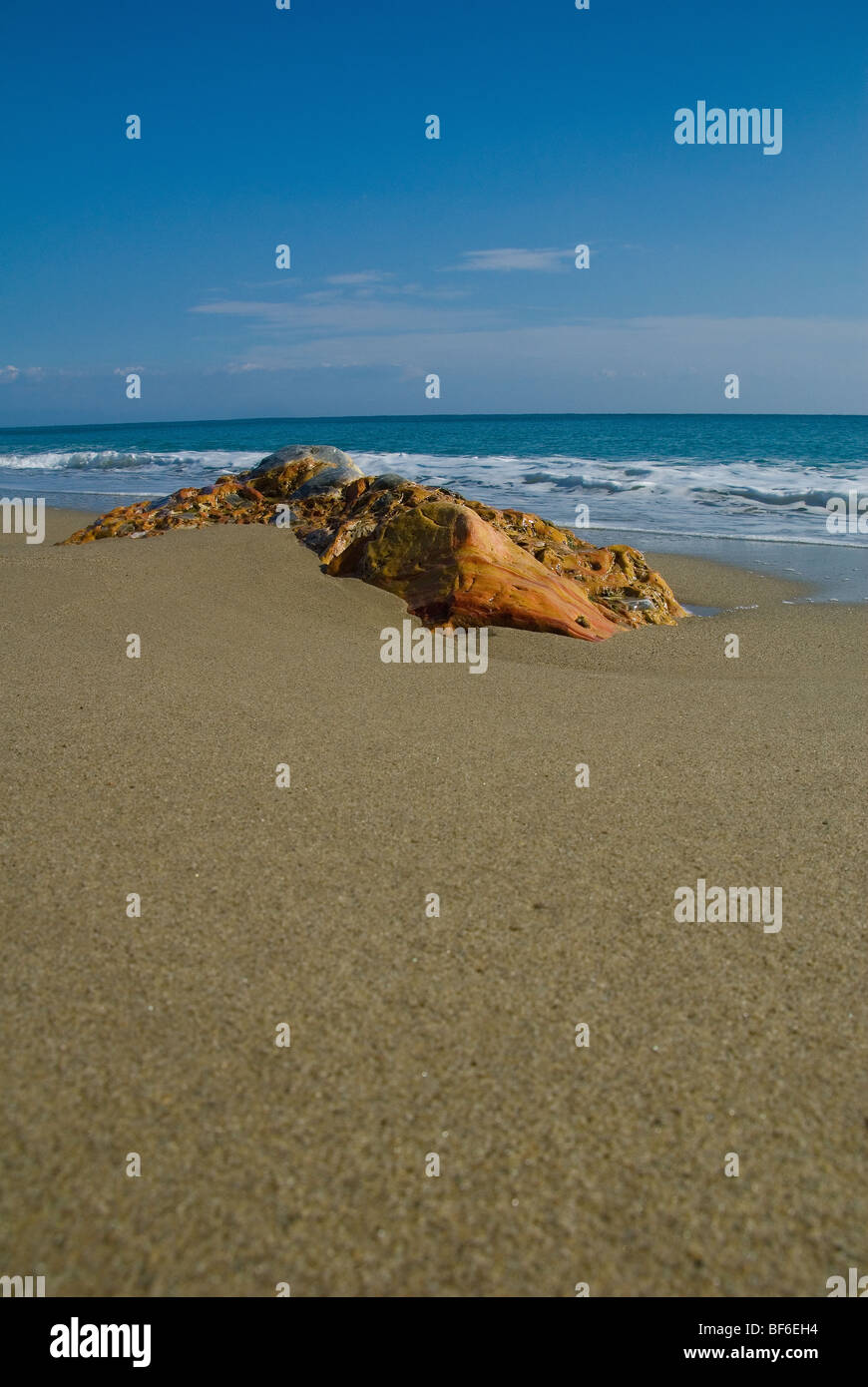 Una roccia in una spiaggia sabbiosa che è stata lisce dalla marea e tempo Foto Stock