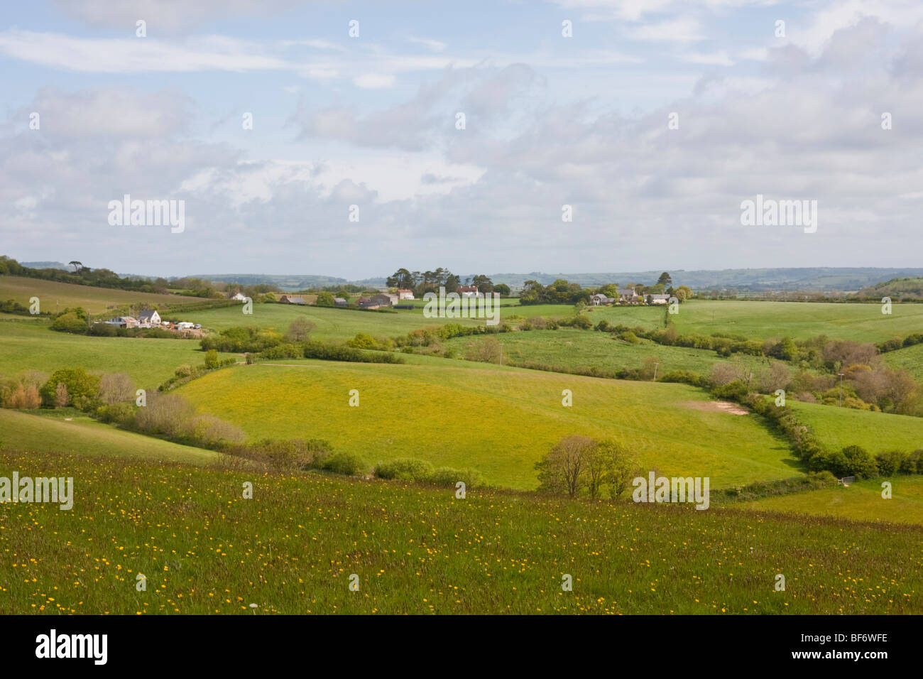 La Monarch, Southwest sentiero costiero, Dorset, Inghilterra. Foto Stock