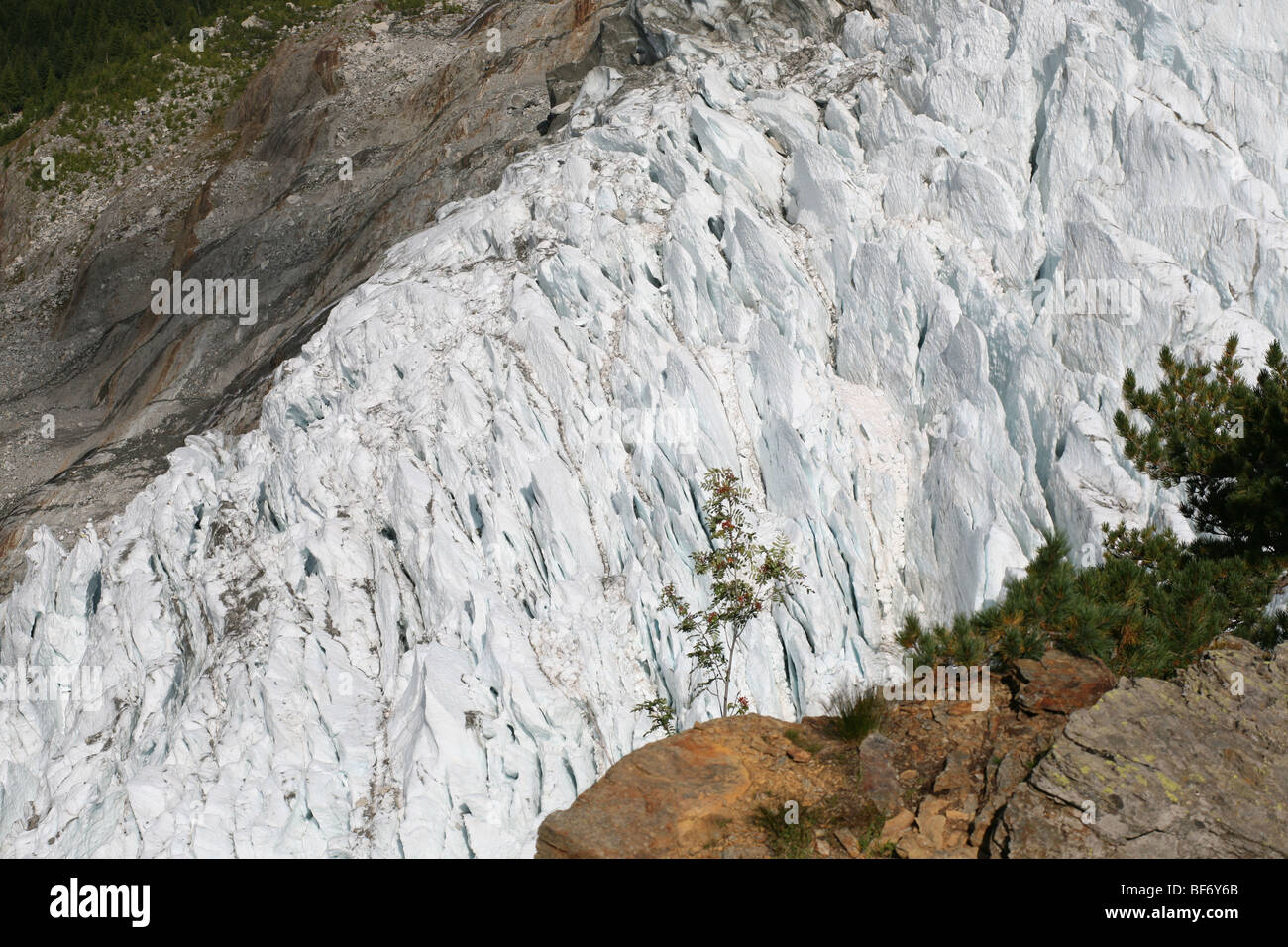 Ghiacciaio Bossons Chamonix Francia Foto Stock