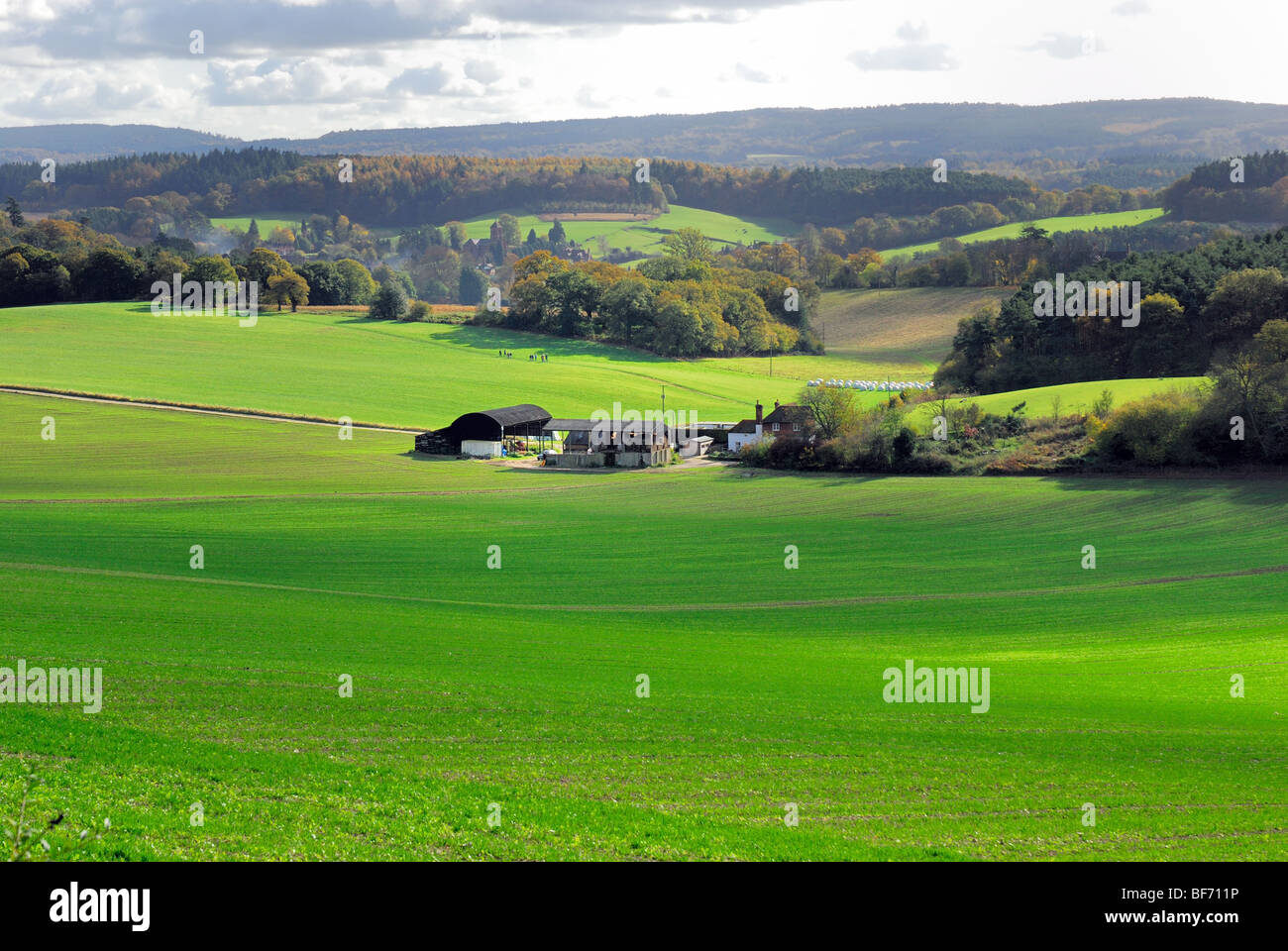 Terreni agricoli in Surrey Hills Foto Stock