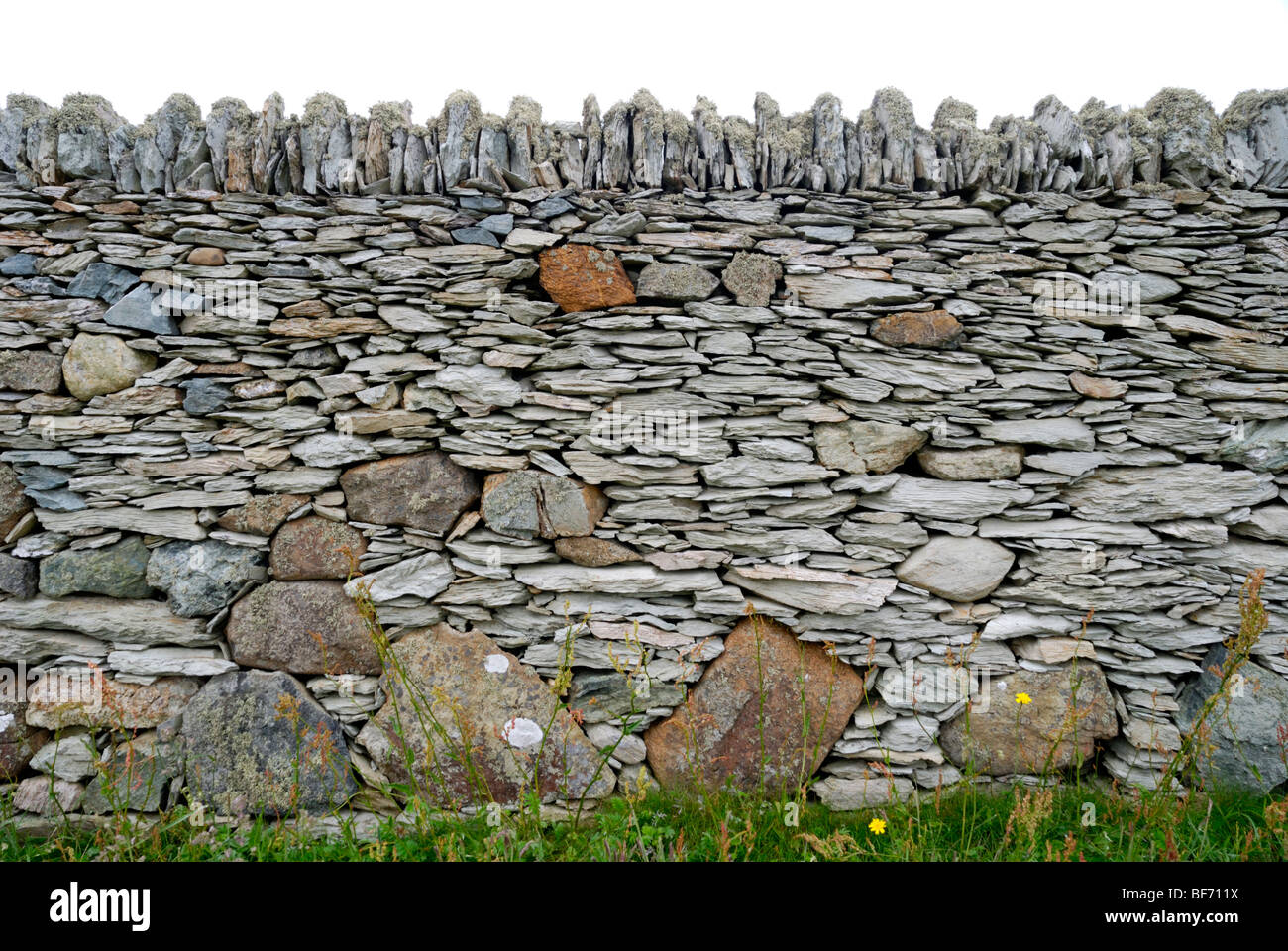 Parete alla testa Rhoscolyn, Anglesey, Galles del Nord Foto Stock