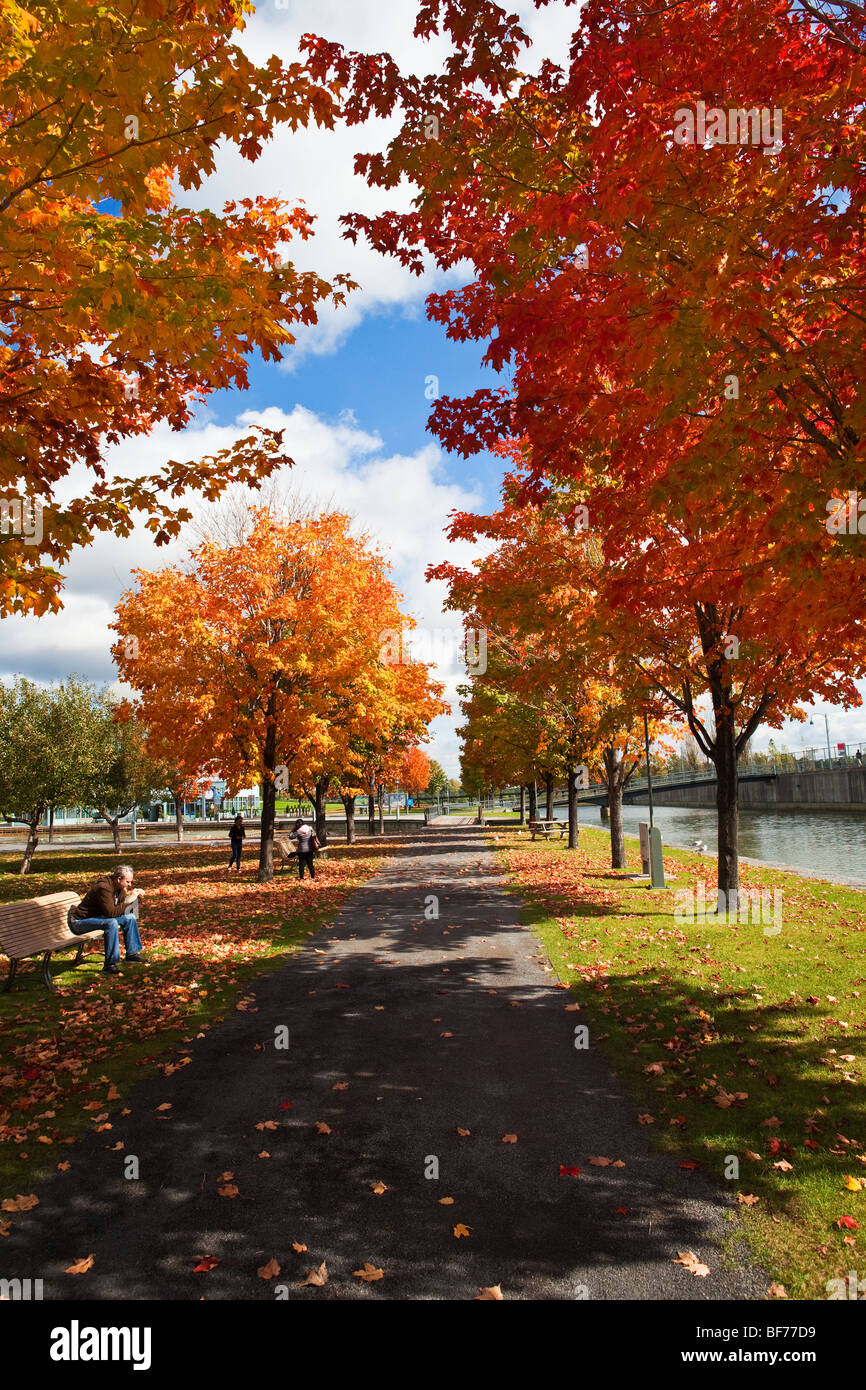 Caduta di Bonsecours Bassin Park a Montreal, Canada Foto Stock