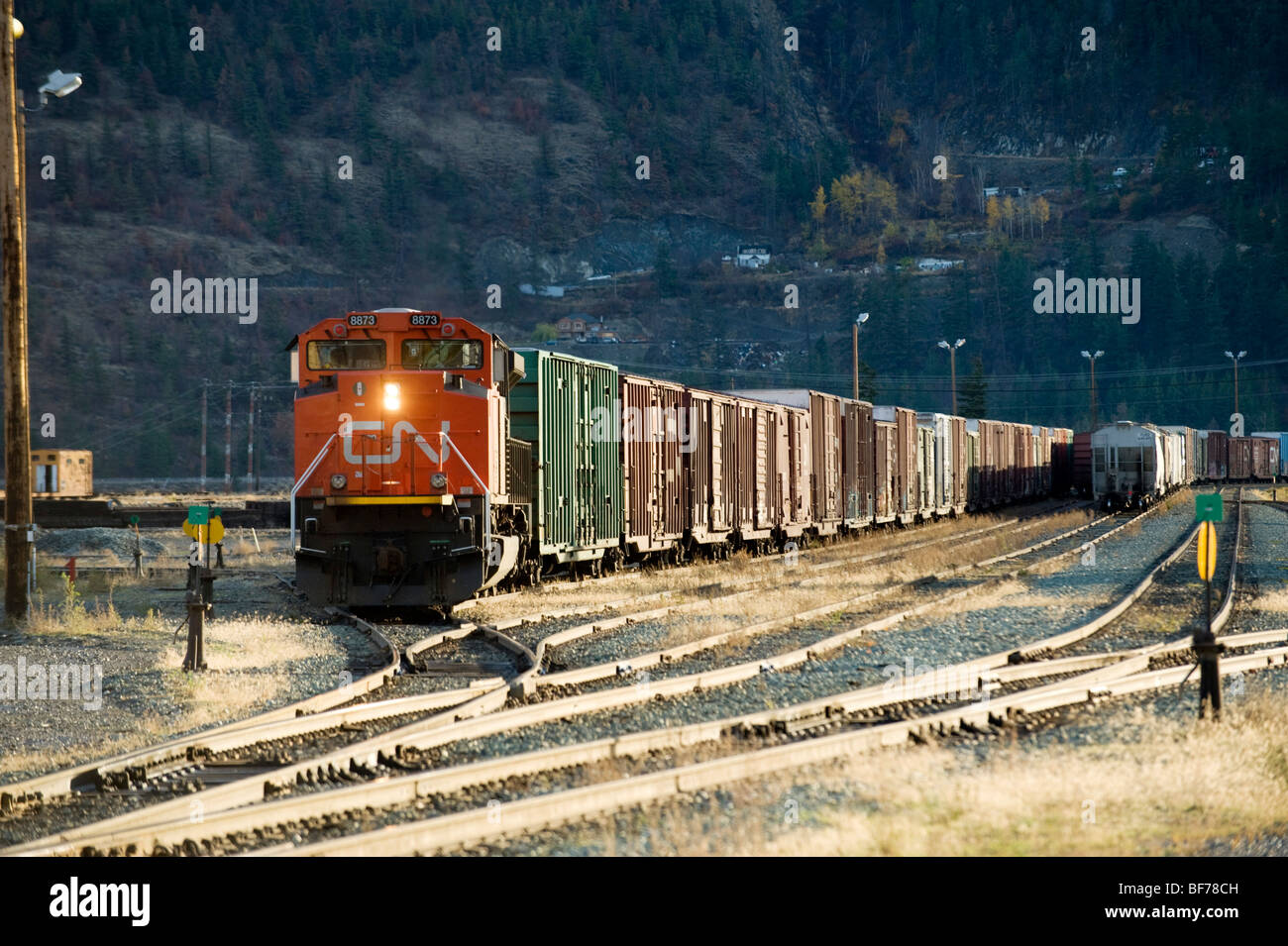 CN treno cantiere. Lillooet BC, Canada. Treno merci tracce di commutazione Foto Stock