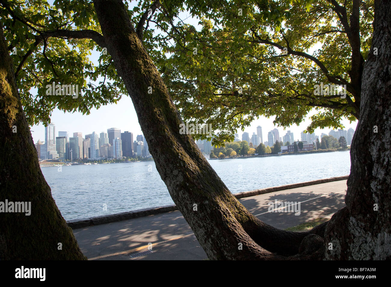 Canada, British Columbia, Vancouver, Skyline visto da Stanley Park Foto Stock