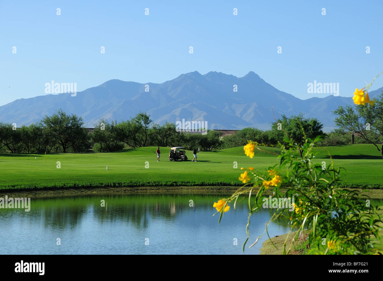 La Santa Rita montagne del Deserto di Sonora servire come sfondo per la Quaglia Creek Club in Valle Verde, Arizona, Stati Uniti. Foto Stock