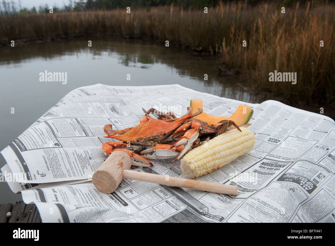 Gamberi cotti al vapore , Chesapeake Bay Maryland Foto Stock