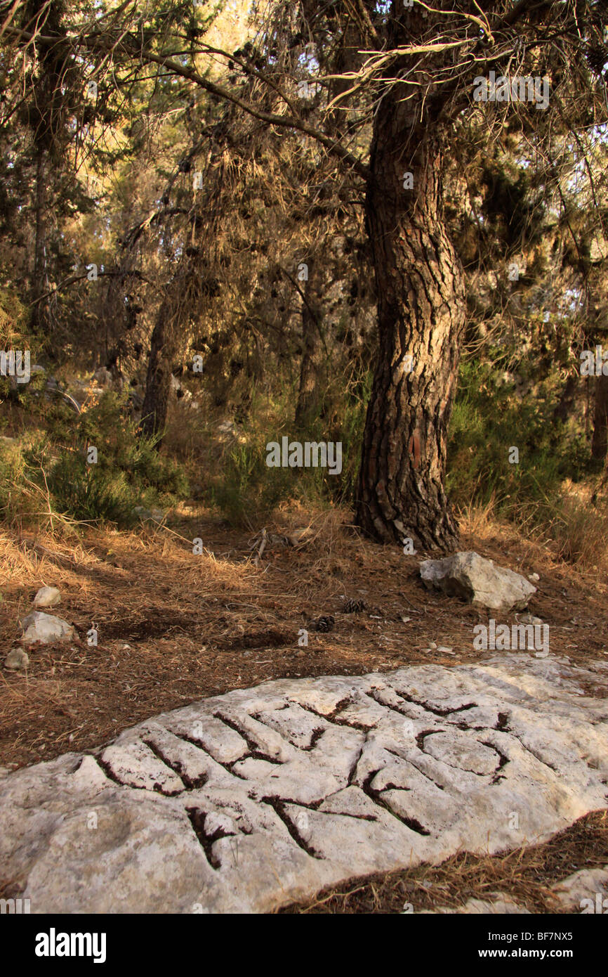 "Ghezer confine" di pietra con iscrizioni in ebraico e greco a partire dal primo secolo Foto Stock