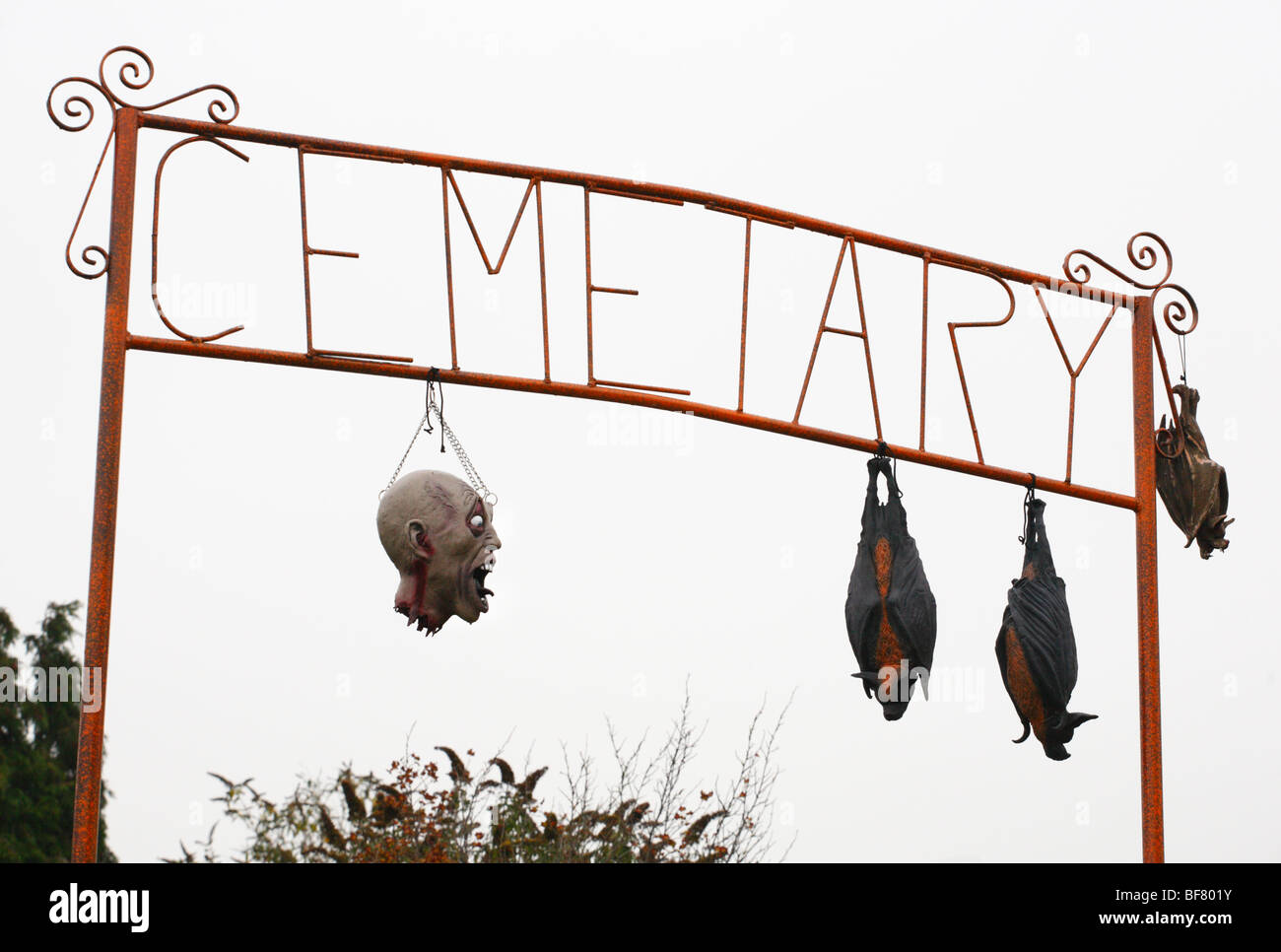 Fantoccio testa horror e Halloween pipistrelli sospesi da un cimitero segno come parte di un display di Halloween. Foto Stock
