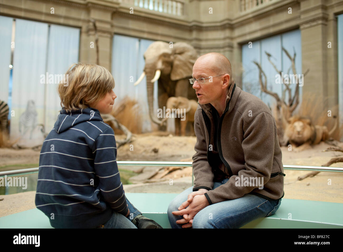 Padre e Figlio al museo Foto Stock