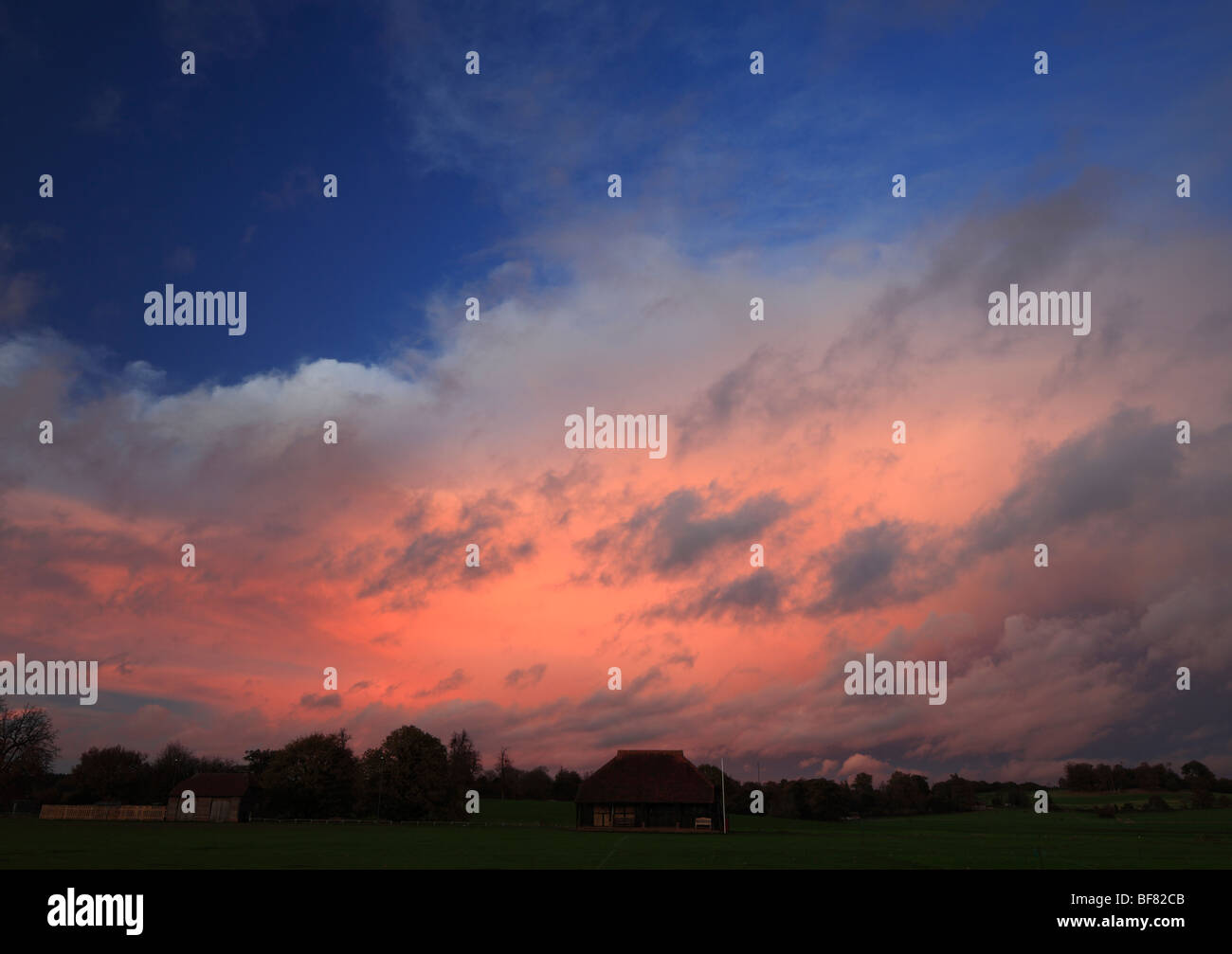 Rosa tramonto. Cowdray Park, Midhurst, West Sussex, in Inghilterra, Regno Unito. Foto Stock