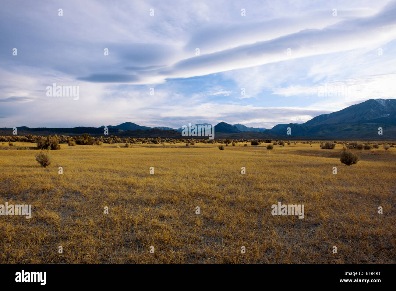 Enormi nubi lenticolare formare sulla catena montuosa della Sierra Nevada californiana e sposta verso est nel deserto della contea di Mono. Foto Stock