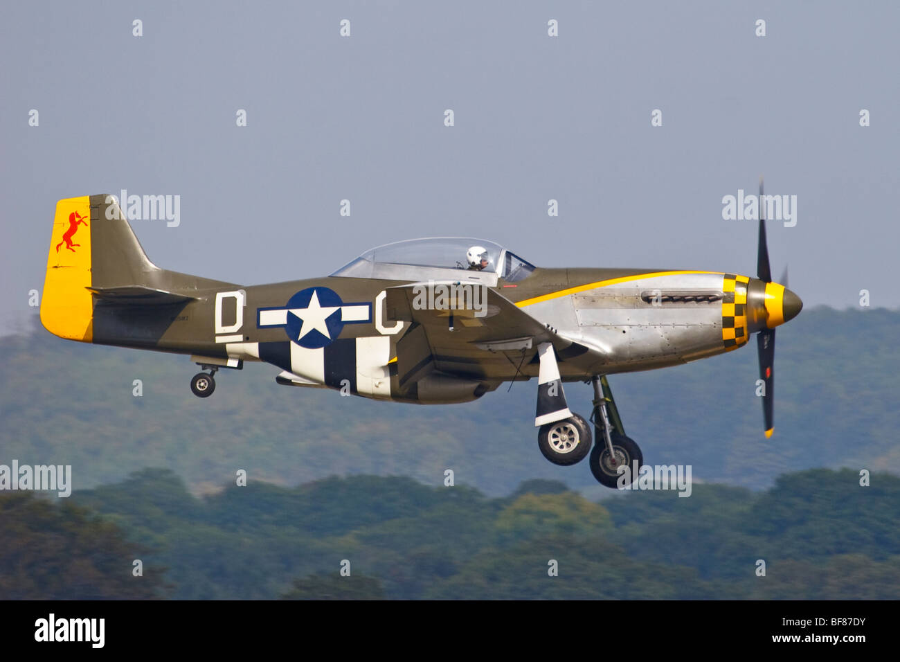 North American P51 Mustang aerei di atterraggio a Goodwood airfield, Sussex Gran Bretagna, Inghilterra, Regno Unito 2008 Foto Stock