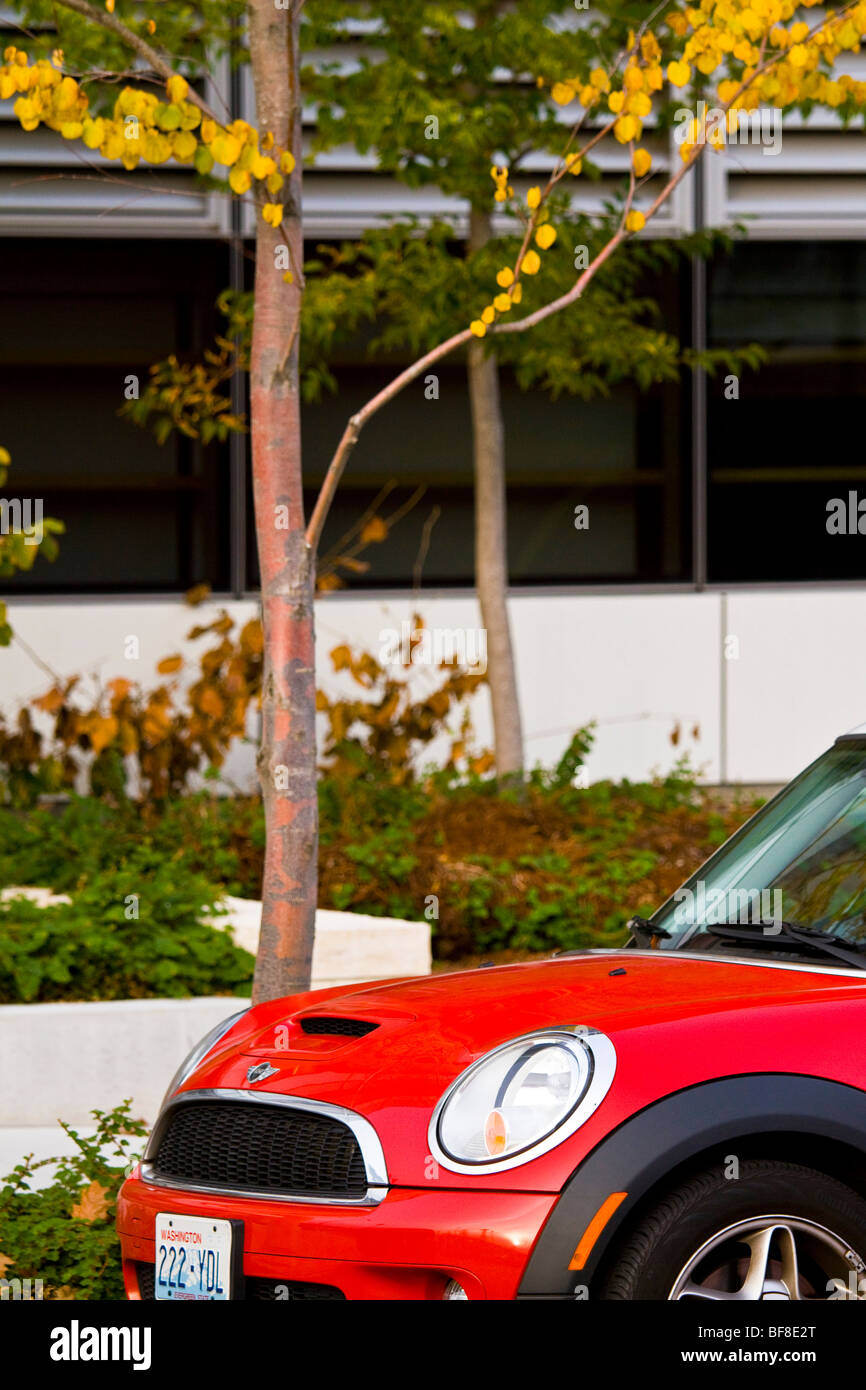 Red Mini Cooper parcheggiata su strada Foto Stock