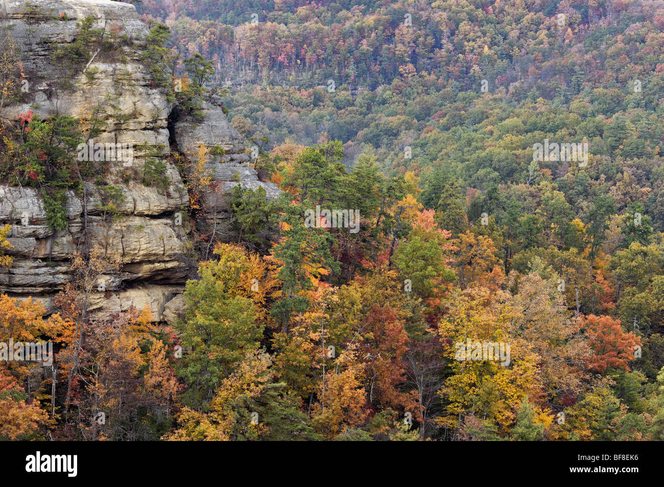 Colore di autunno sul punto di vedetta nel ponte naturale del parco statale, Kentucky Foto Stock